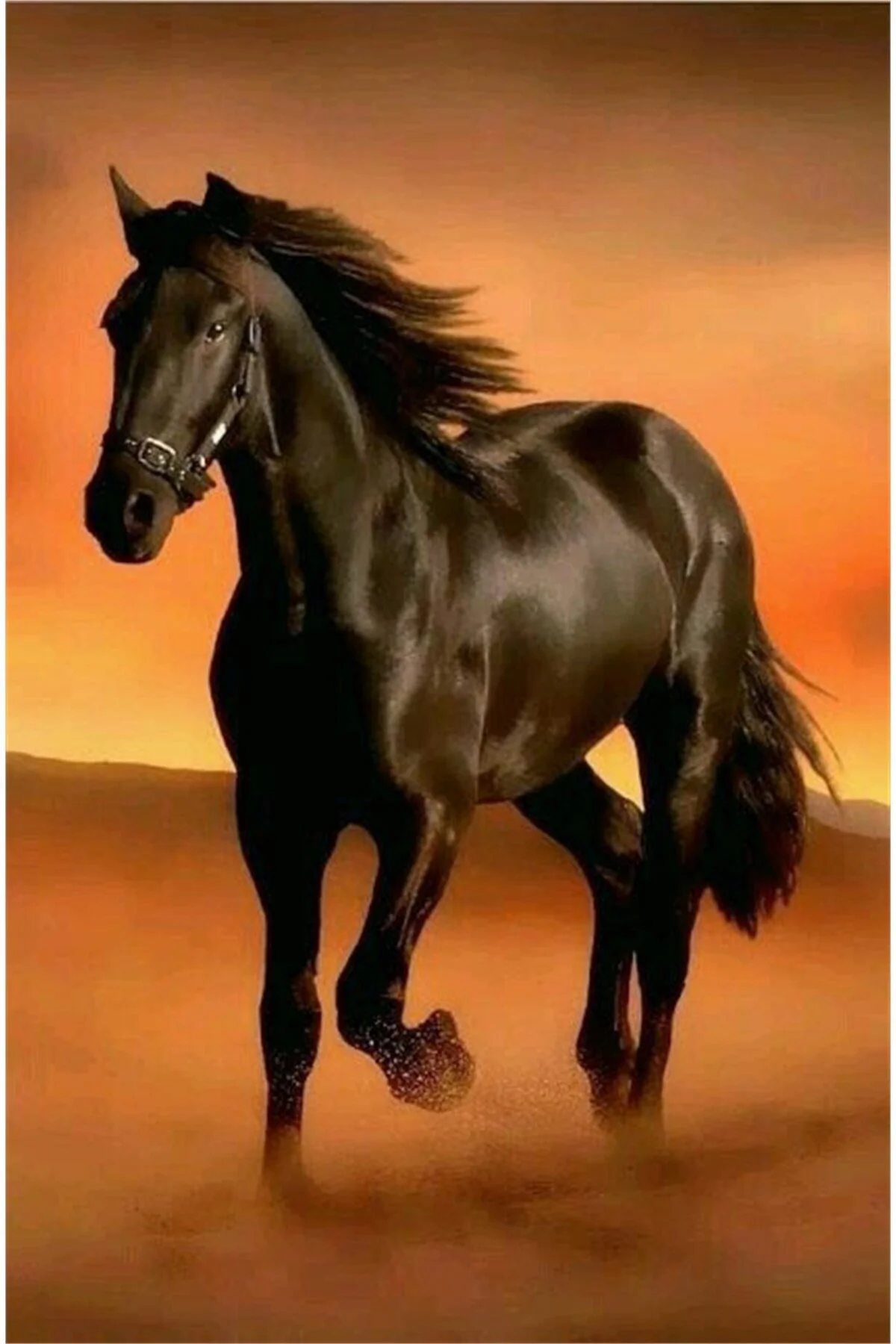 پازل نقاشی موزاییک الماس اسب قهوه ای در صحرا 50 33 سانتی متر MARCEL SANAT