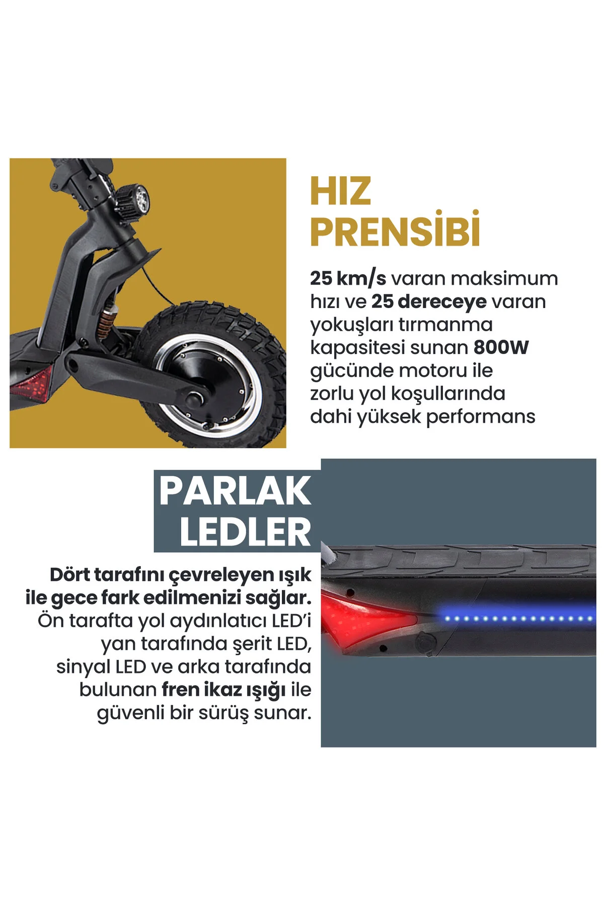 اسکوتر برقی کروز 500W با سیستم تعلیق دوگانه ProLucky