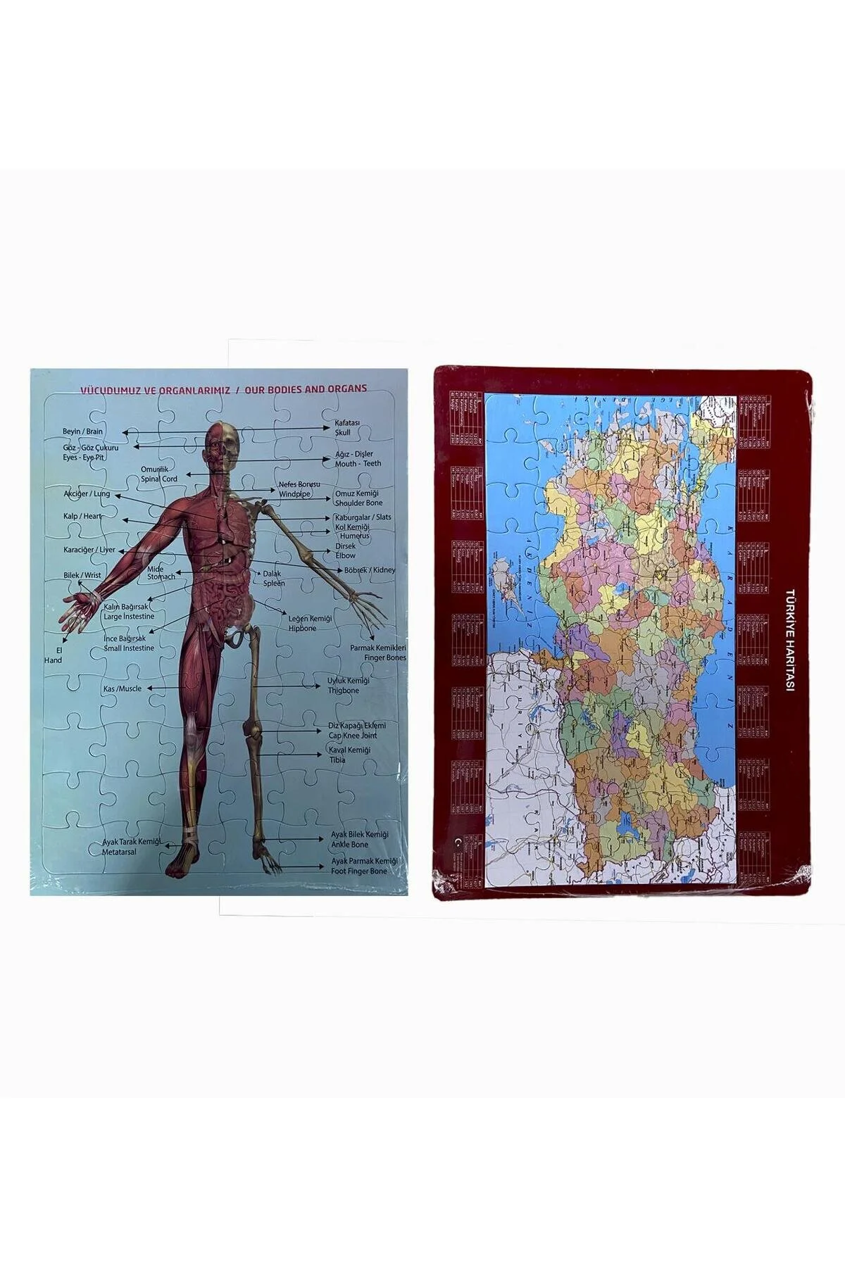 پازل مجموعه آموزشی 2 تایی MAP 50 تکه و HUMAN ANATOMY 60 PIECES از ترکیه Sole