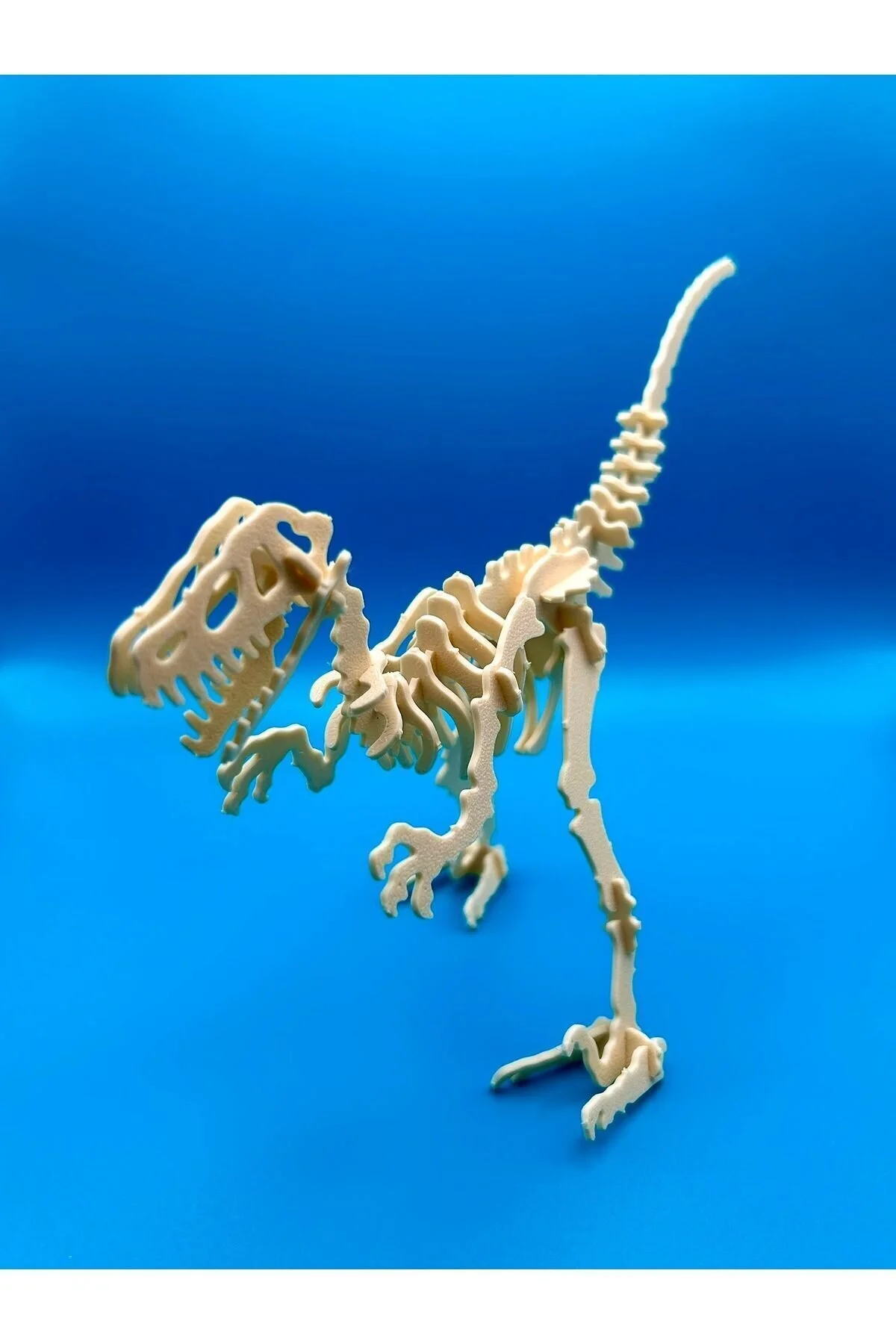 پازل سه بعدی مجموعه دایناسور VELOCIRAPTOR SKELETON PUZZLE JURASSIC PARK asya butik