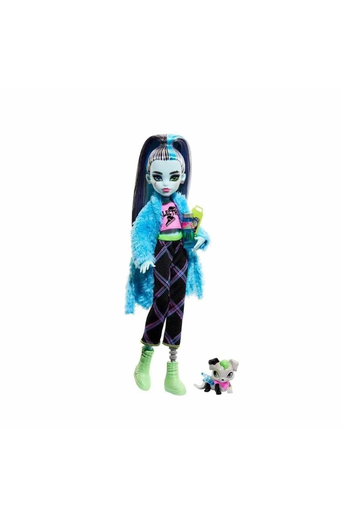 عروسک های مدل حزب خزنده FRANKIE STEIN HKY68 MONSTER HIGH