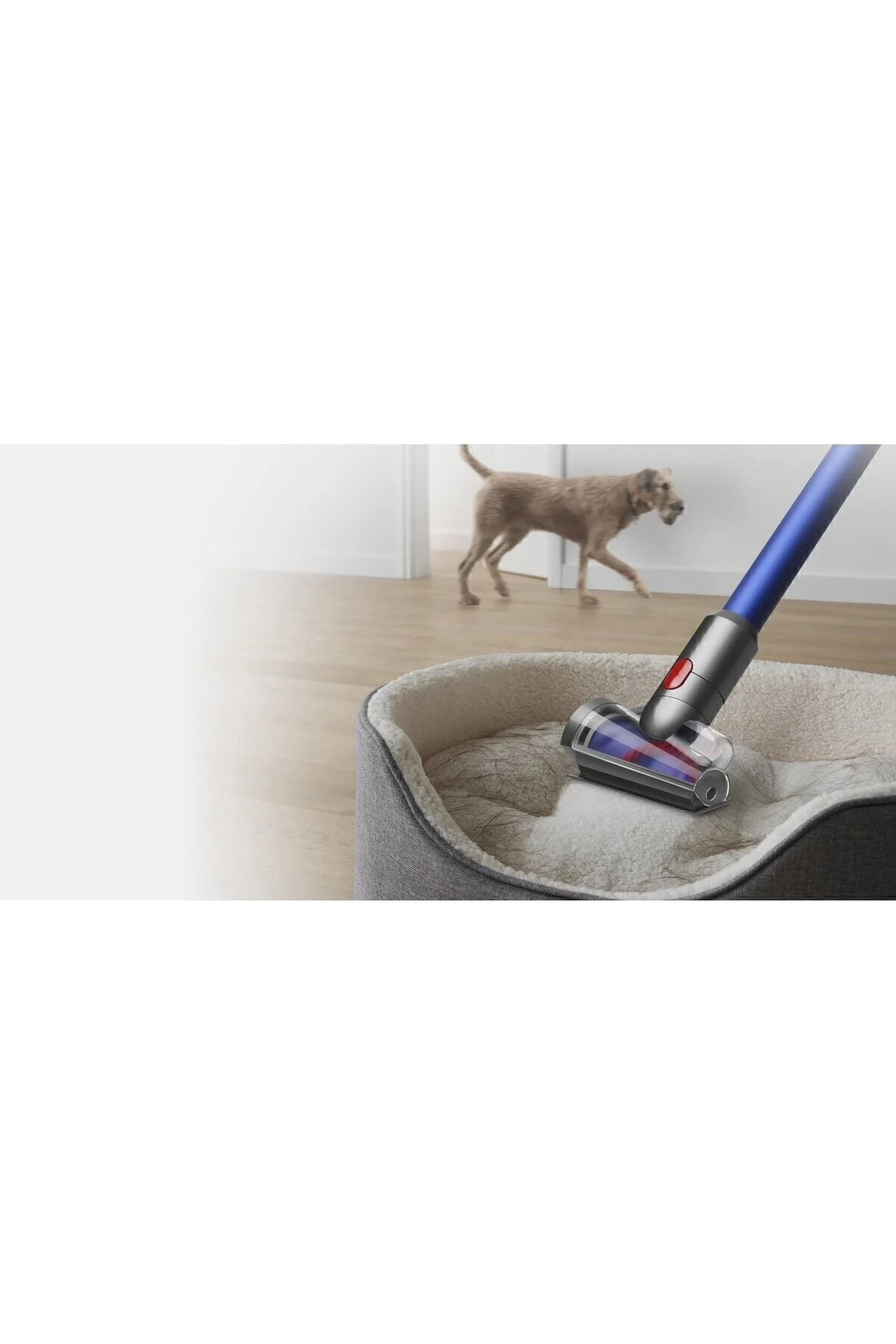 جاروبرقی ایستاده بنفش مجموعه تمیز کردن همه کاره DYSON