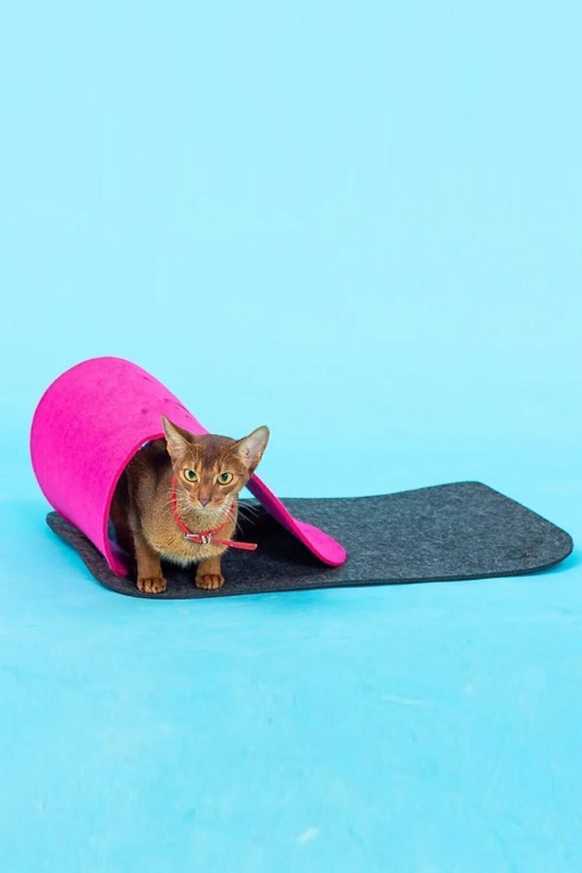 اسباب بازی گربه تونل صورتی خاکستری OVIS PET TOY KITTEN ADULT CAT NEST خانه Bundeba