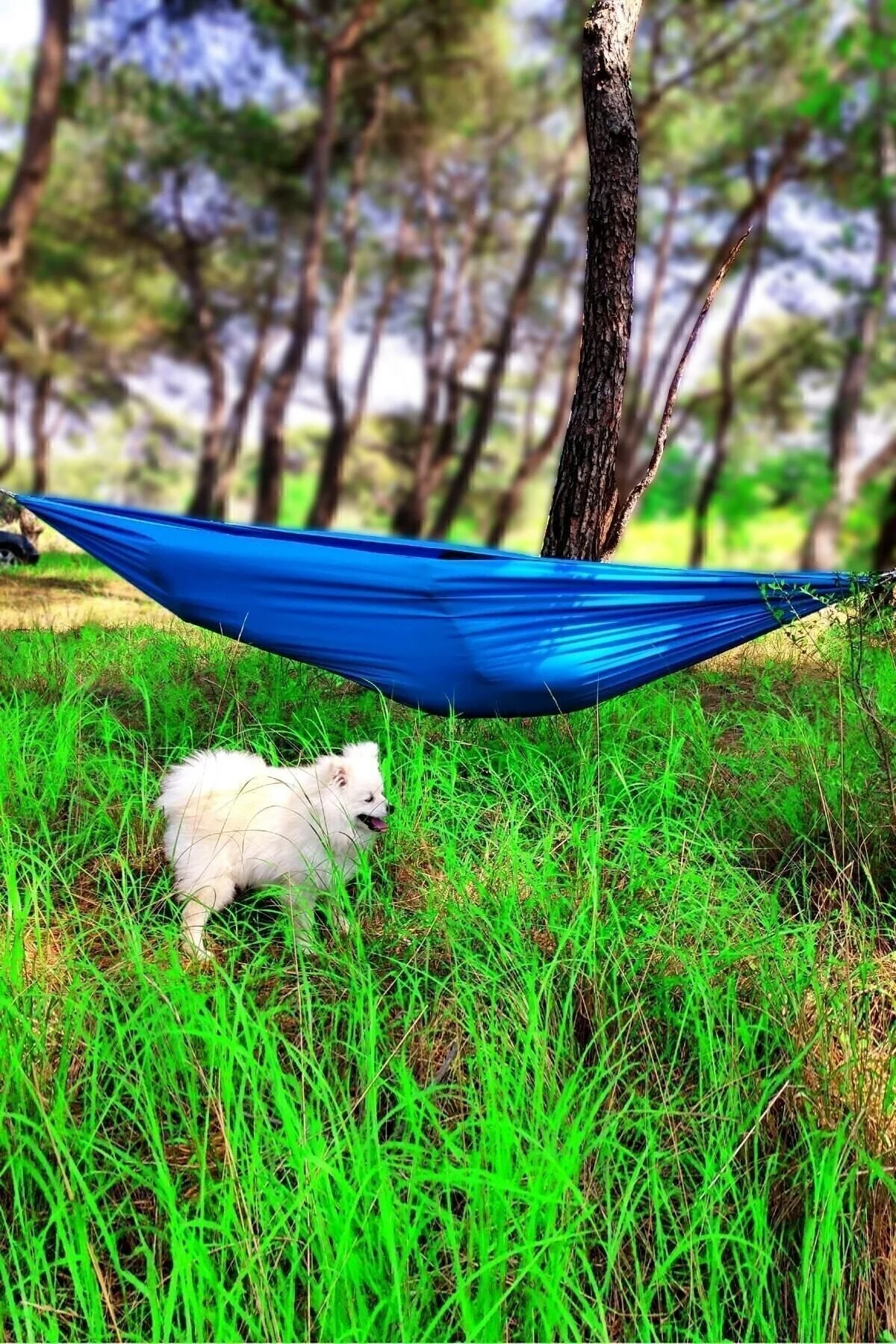 تاب و هموک آبی بازی نوسان Hammak Picnic Hamdar Garden Balcony Camp Hunter Mountaineer Hammock  Bundera