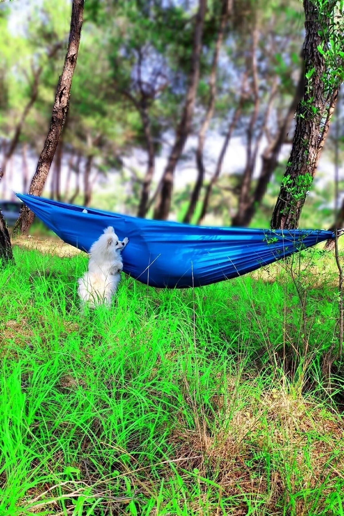 تاب و هموک آبی بازی نوسان Hammak Picnic Hamdar Garden Balcony Camp Hunter Mountaineer Hammock  Bundera