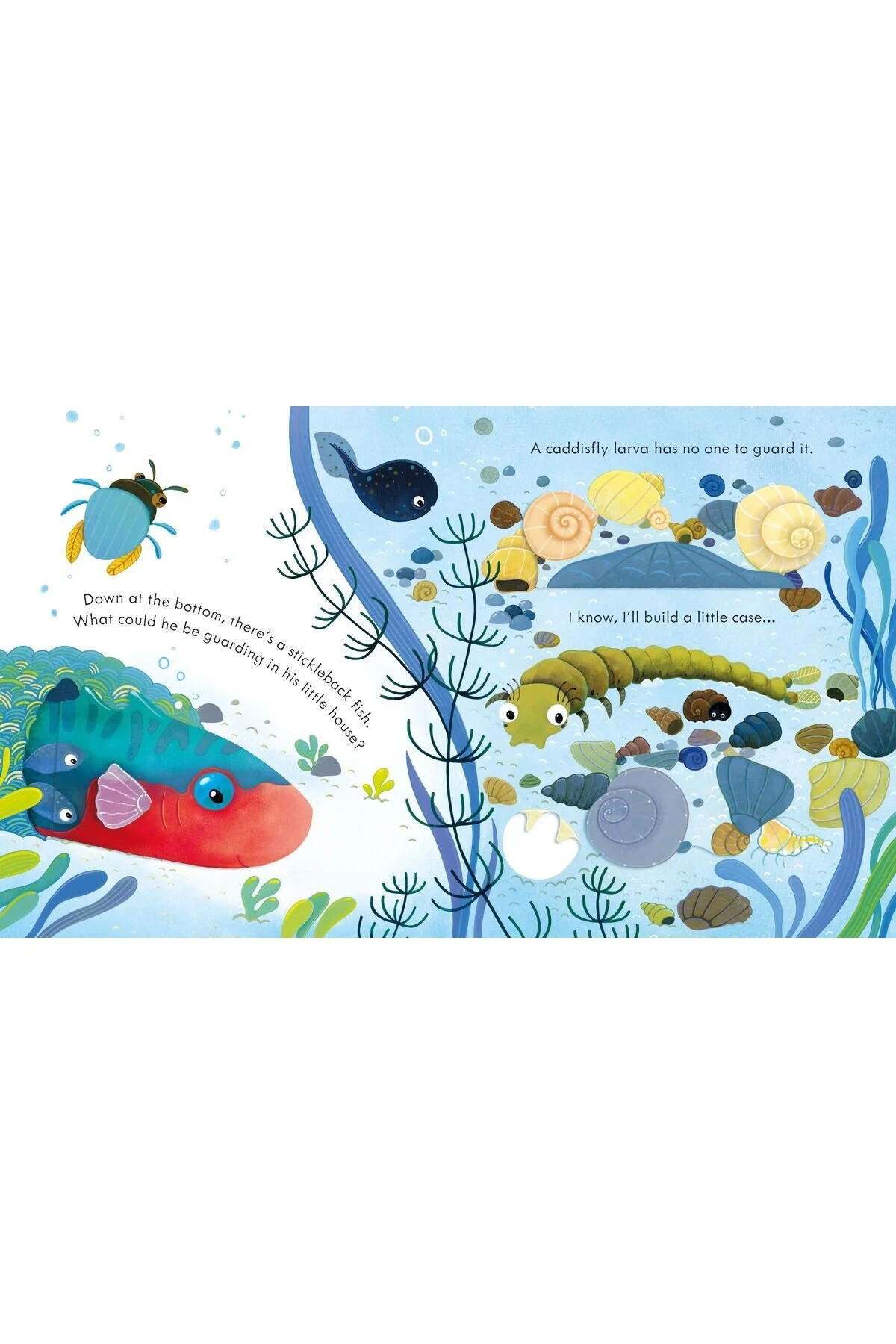 کتاب های کودک به زبان خارجی درون حوضچه اورجینال Usborne