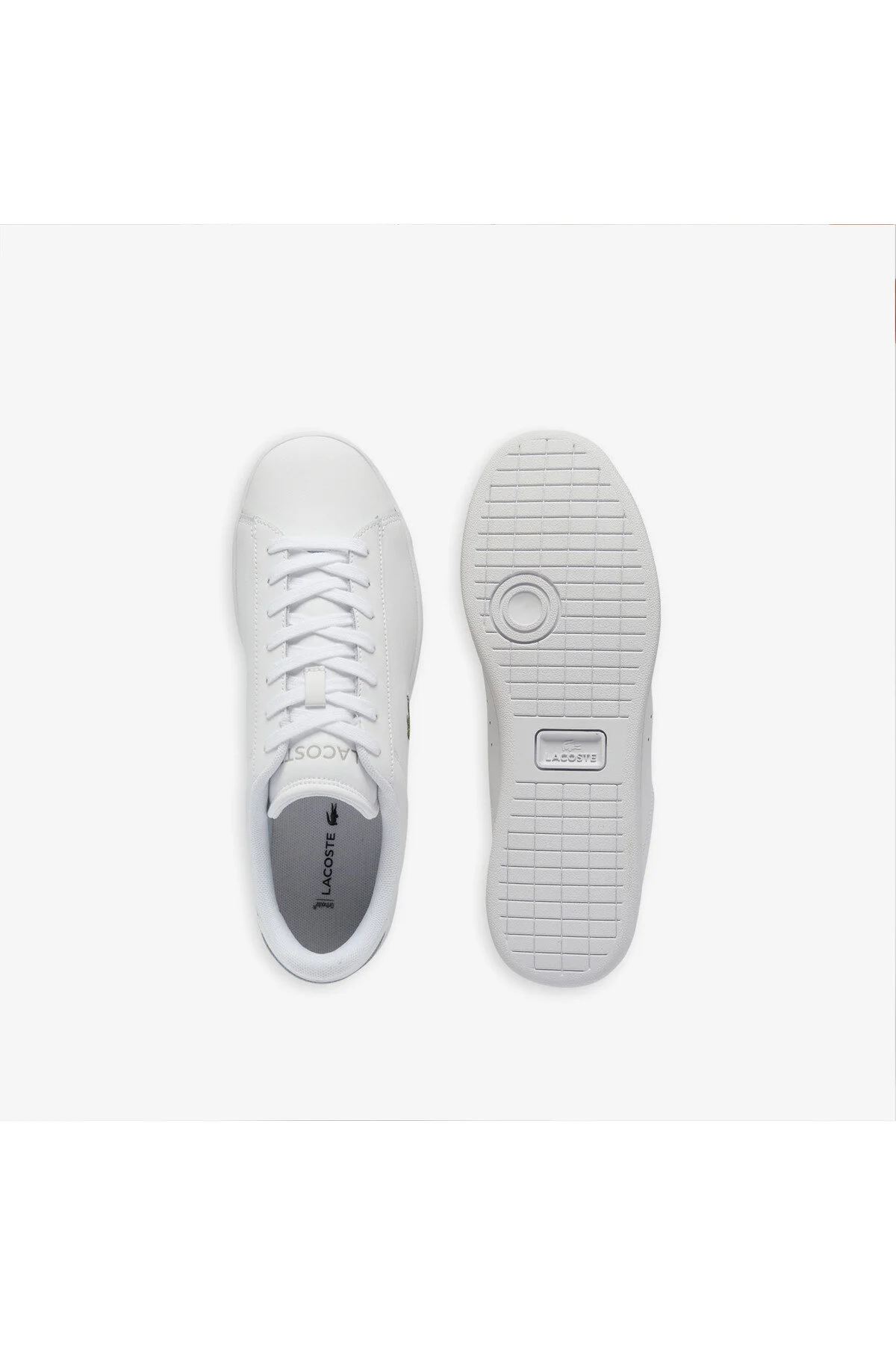 کفش مردانه ورزشی سفید کارنابی لاکوست Lacoste