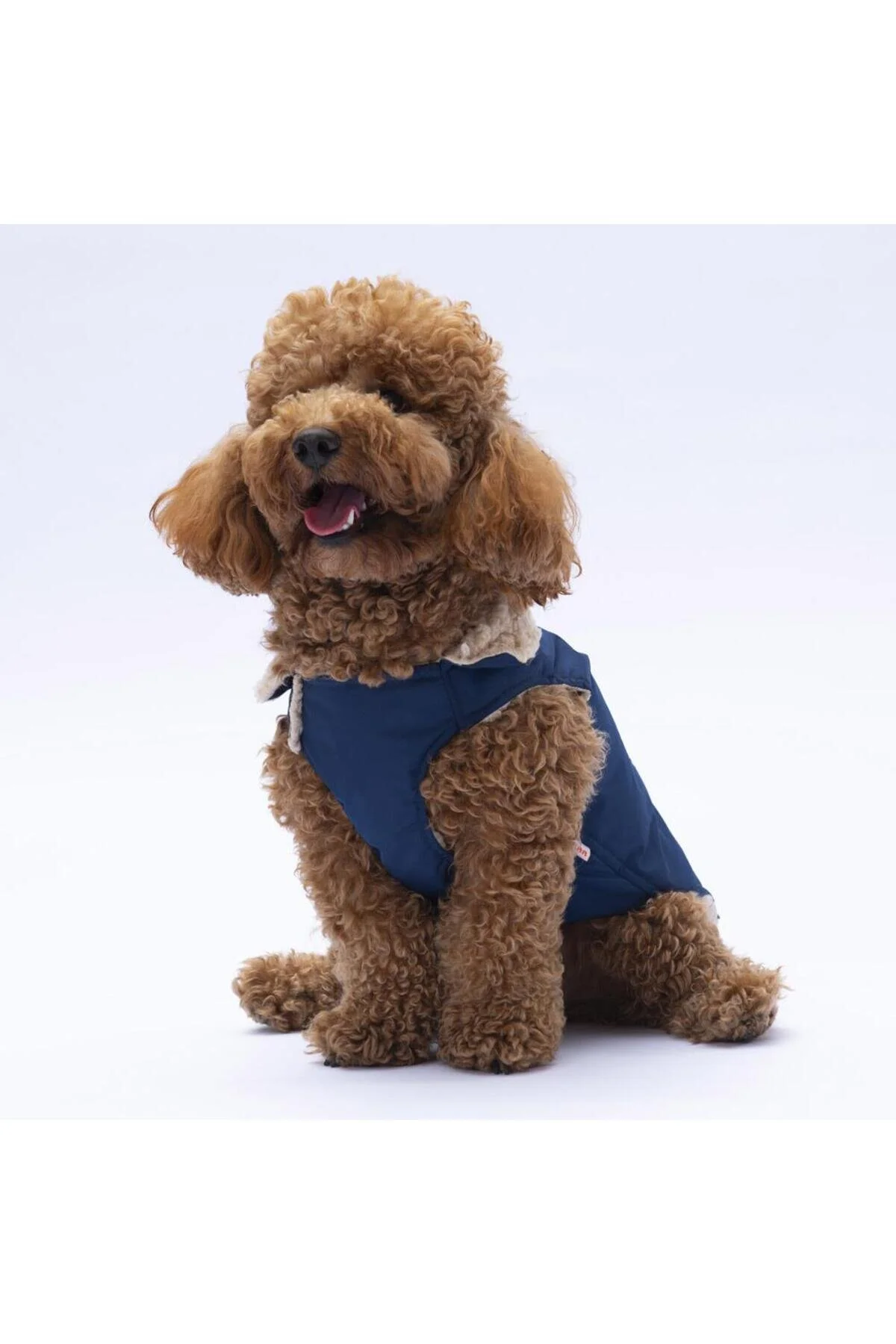 لباس سگ آبی یوکان جلیقه بارانی اورجینال Pawstar