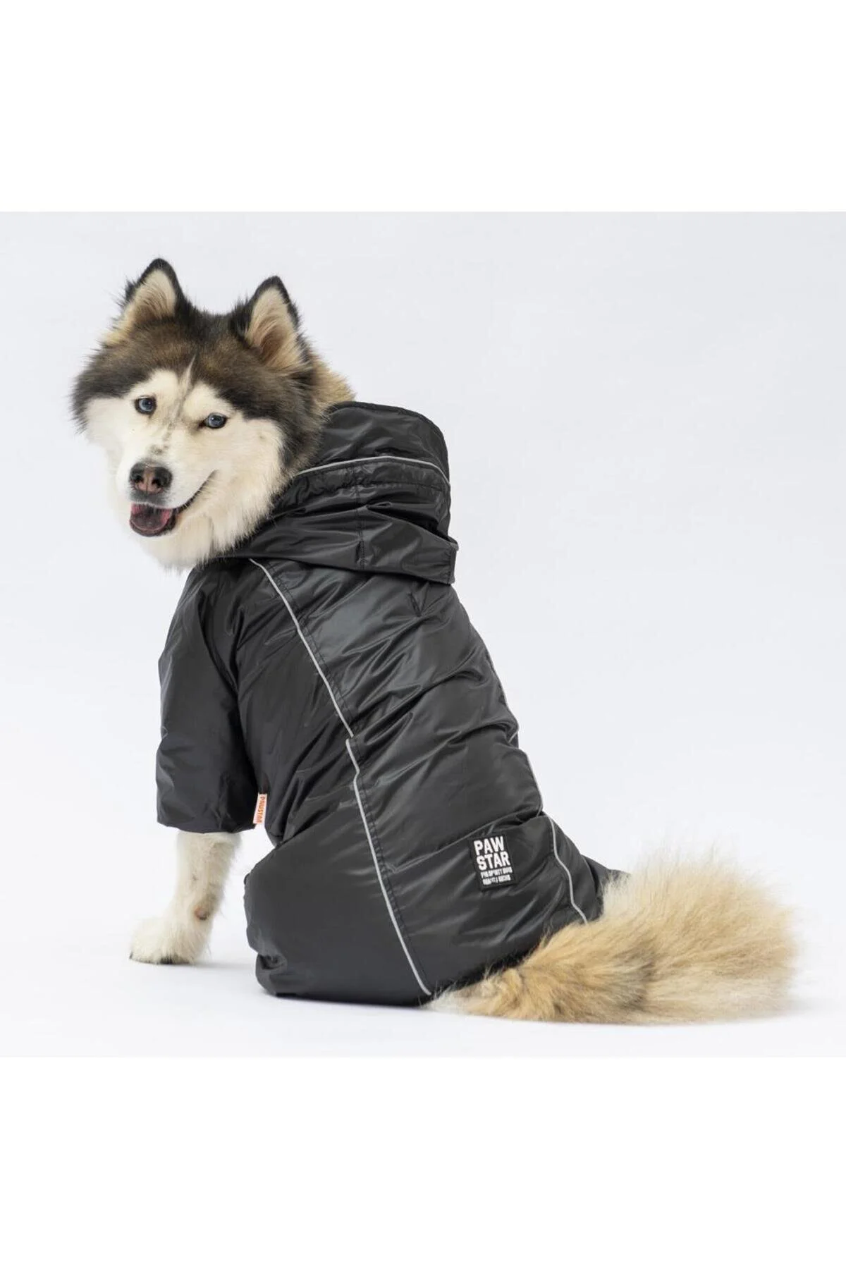لباس سگ مشکی MONSOON LARGE BREED DOG SUIT RAINCOAT CLOTHES اورجینال Pawstar