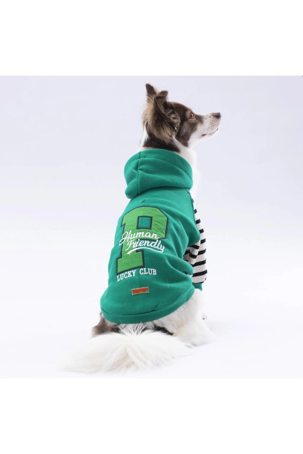 لباس سگ سبز خوش شانس هودی عرق گربه اورجینال Pawstar