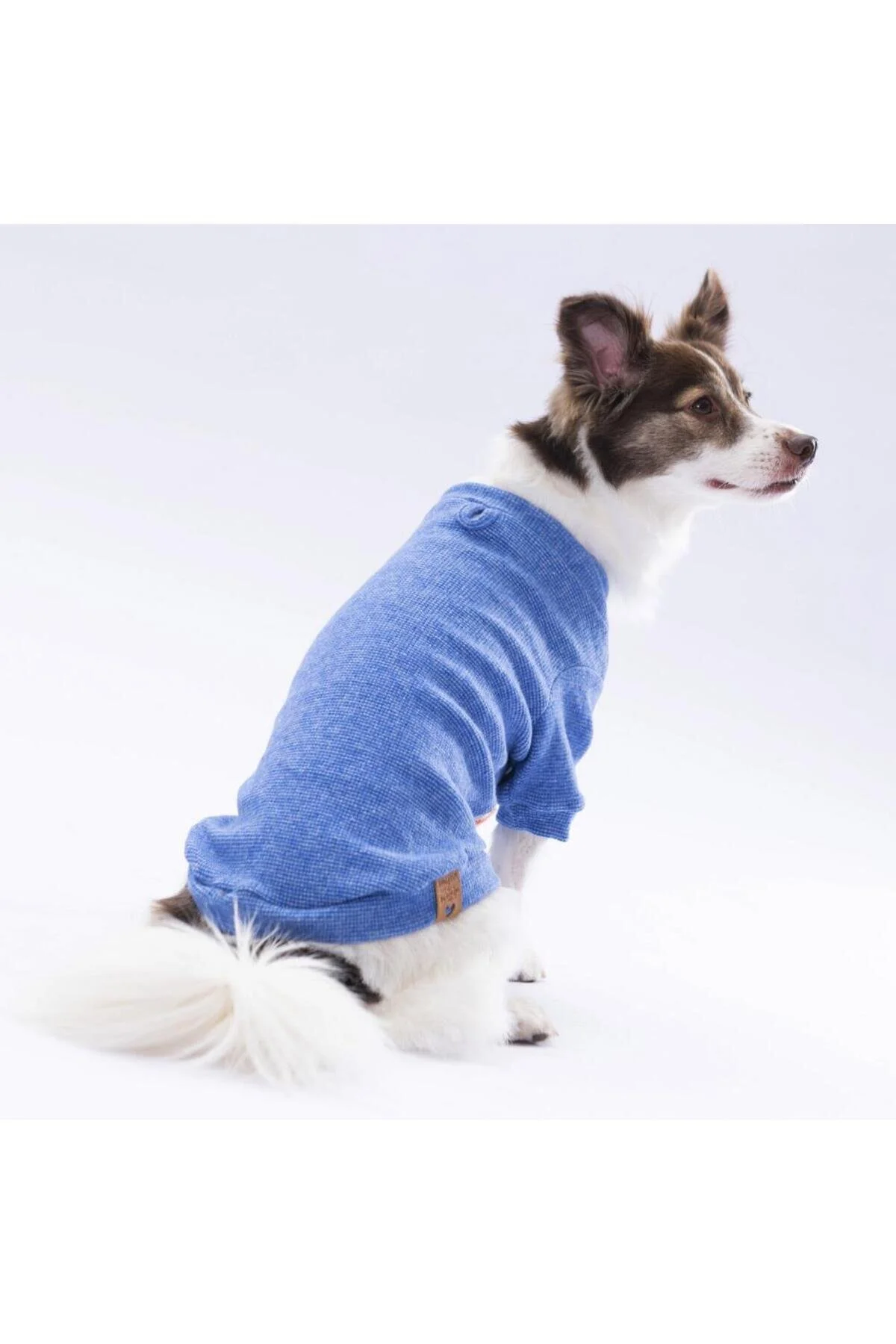 لباس سگ عرق گربه آبی مرینو اورجینال Pawstar