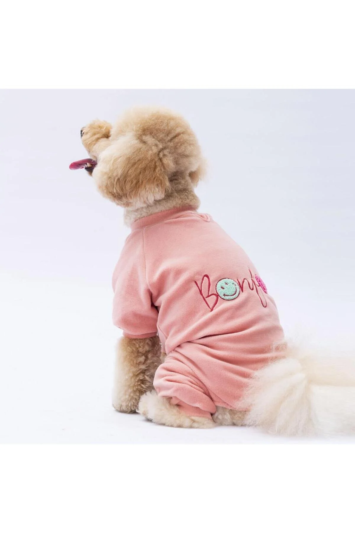 لباس سگ ROSE ANGERS DOG JUMPSUIT CLOTHES گربه اورجینال Pawstar