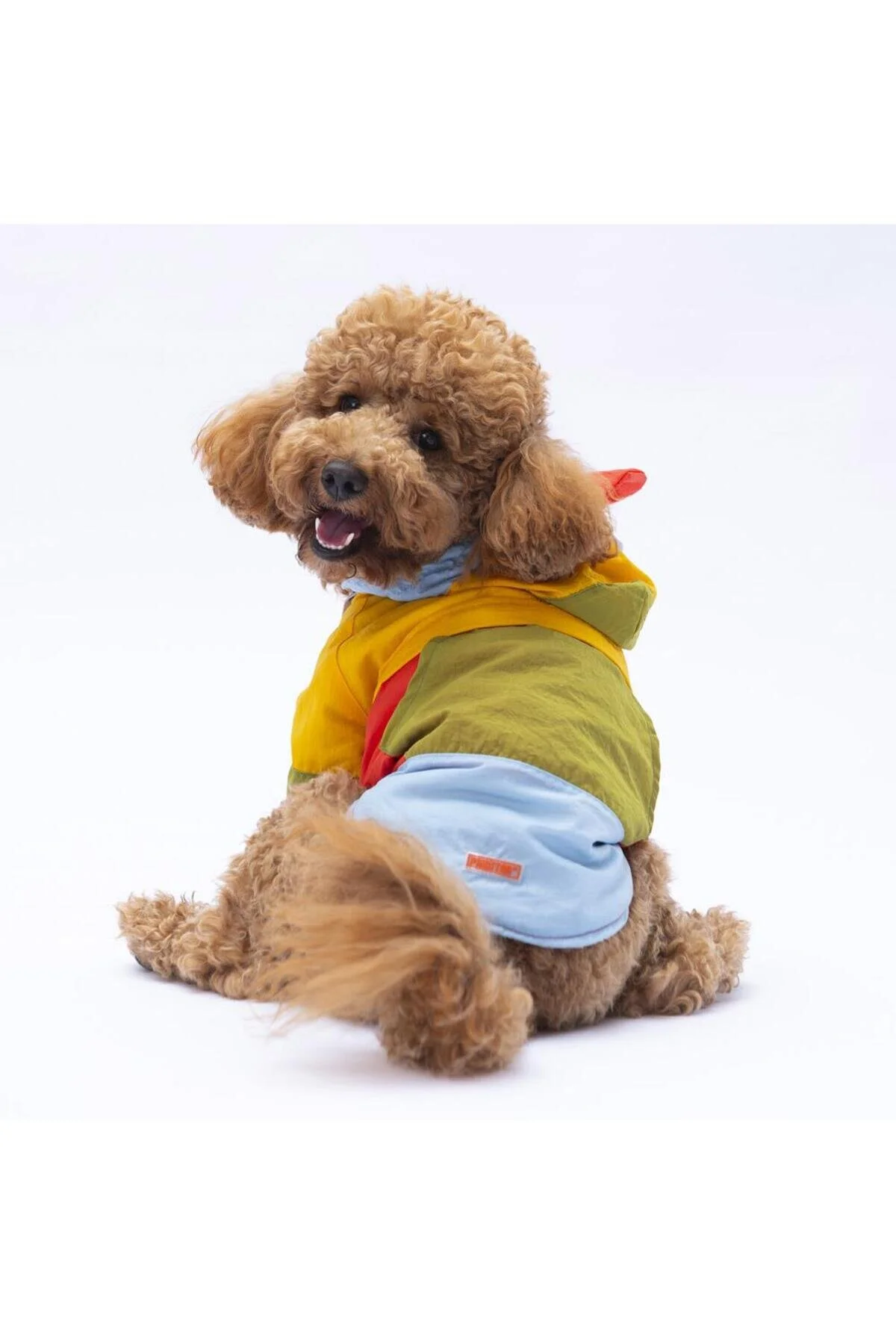 لباس سگ VIVID KAUAI DOG COAT RAINCOAT اورجینال Pawstar