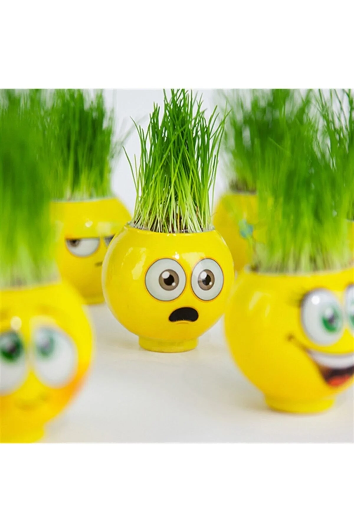 فیگور EMOJI HEAD CRAZY GRASS MAN از ترکیه Genel Markalar