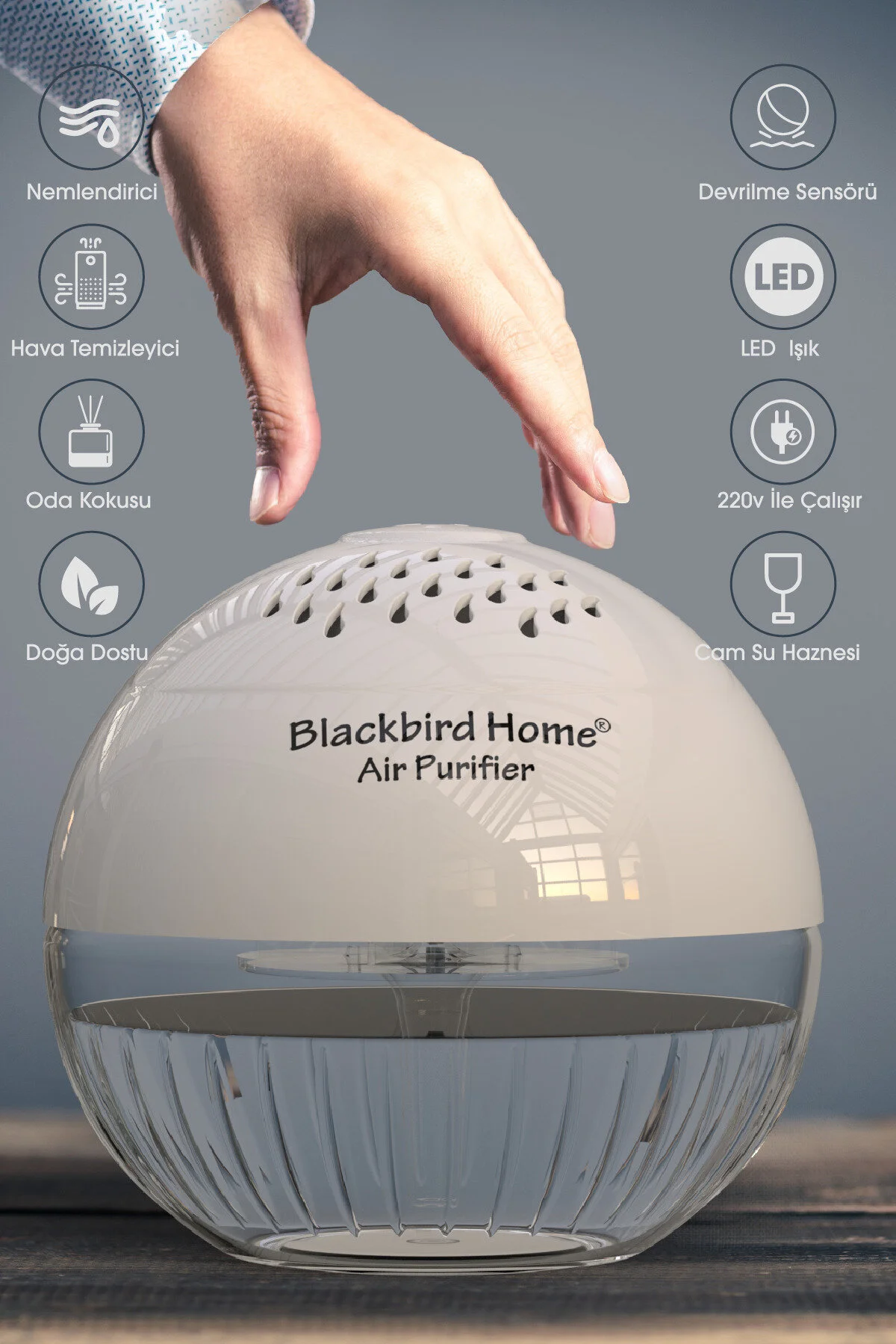 تصفیه کننده هوا محلول گلوب سفید روشن 150 میلی لیتری RELAX GLOBE اورجینال BlackBird Home