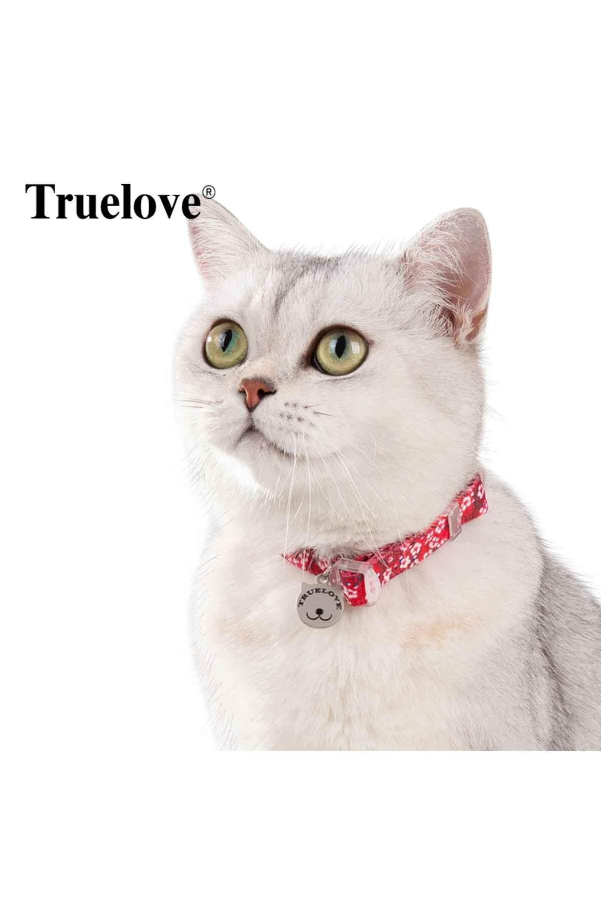 قلاده گربه قرمز پت آبی با زیلی اشتیاق گردن گل رنگارنگ ترو لاو True Love