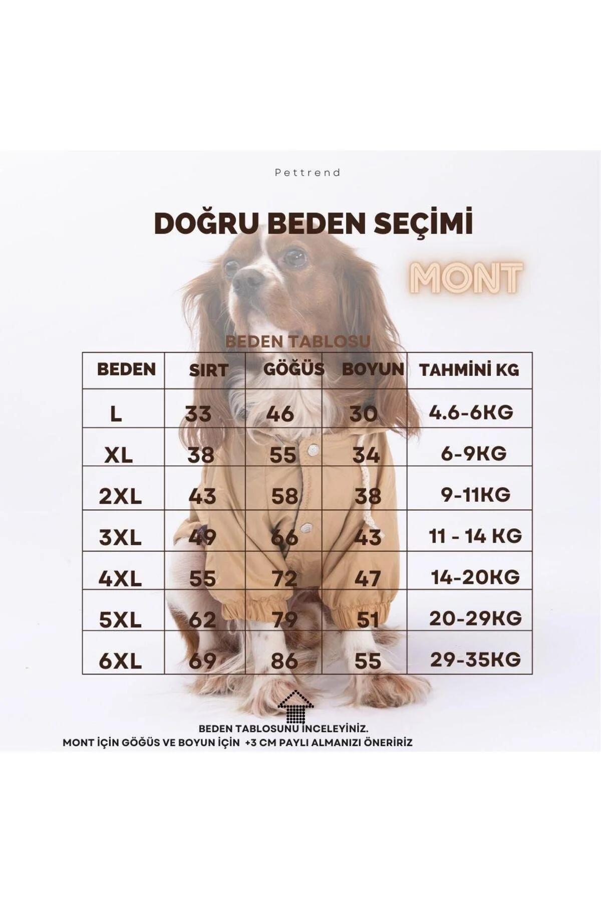 لباس سگ نعناع کت بارانی اورجینال Pettrend