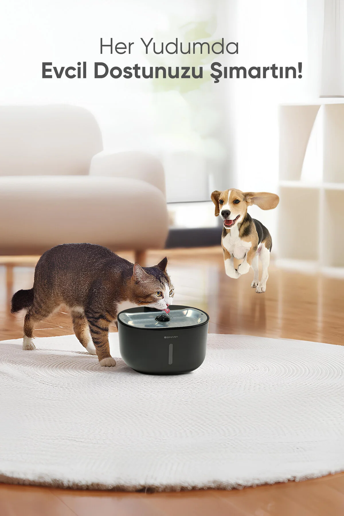 ظرف آب و غذای گربه سگ سیاه وغذای ظرفیت Pet Perhyr 3L فیلتر کنترل شده Wi Fi Şımart