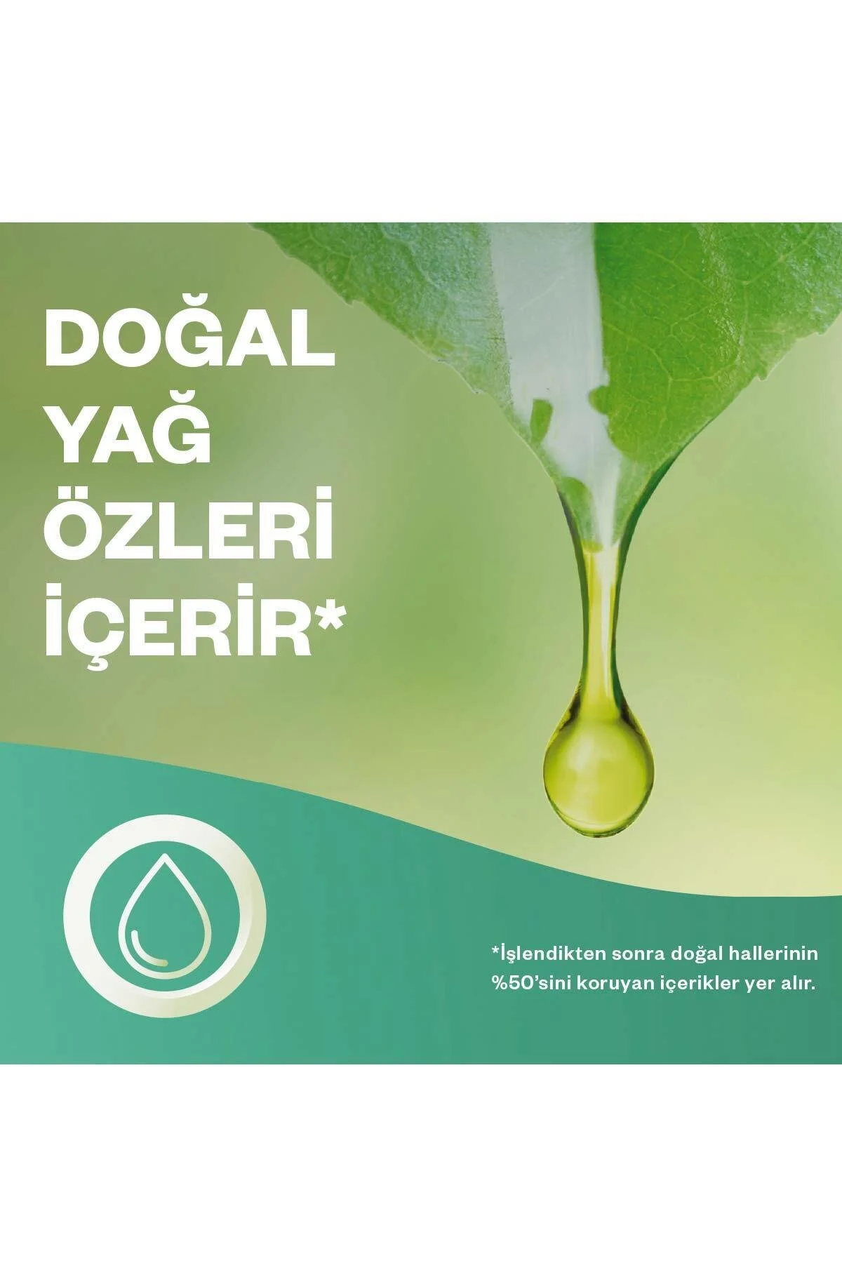 بوگیر و تصفیه کننده هوا داستان زمستانی کیت برقی اورجینال Air Wick