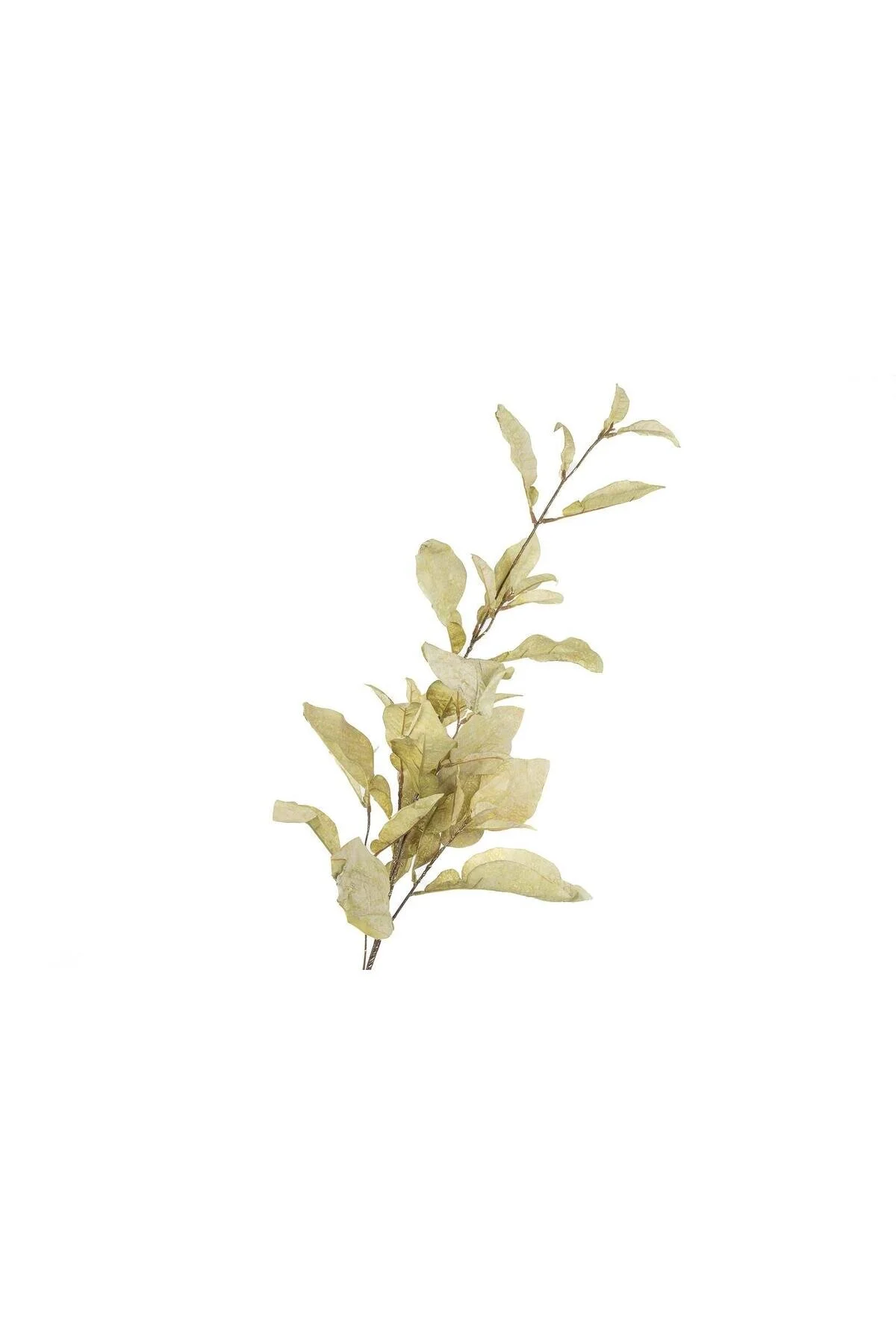 گل مصنوعی و خشک سبز آهک 86 سانتی متر Mikasa Moor