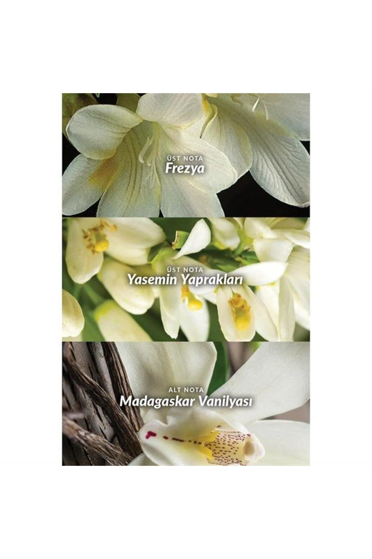 عطر زنانه دور 50 میل Avon