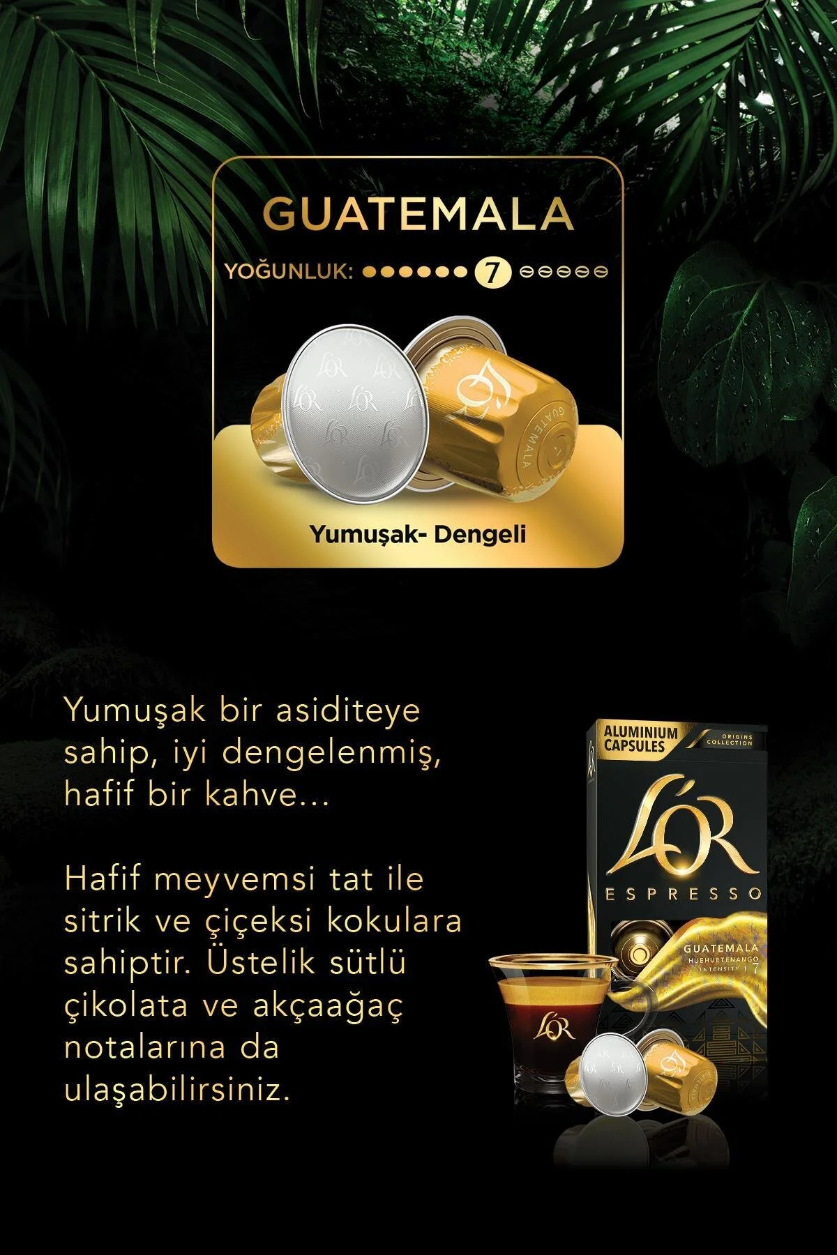 کپسول قهوه اسپرسو ORIGIN GUATEMALA X 100 قطعه L'OR