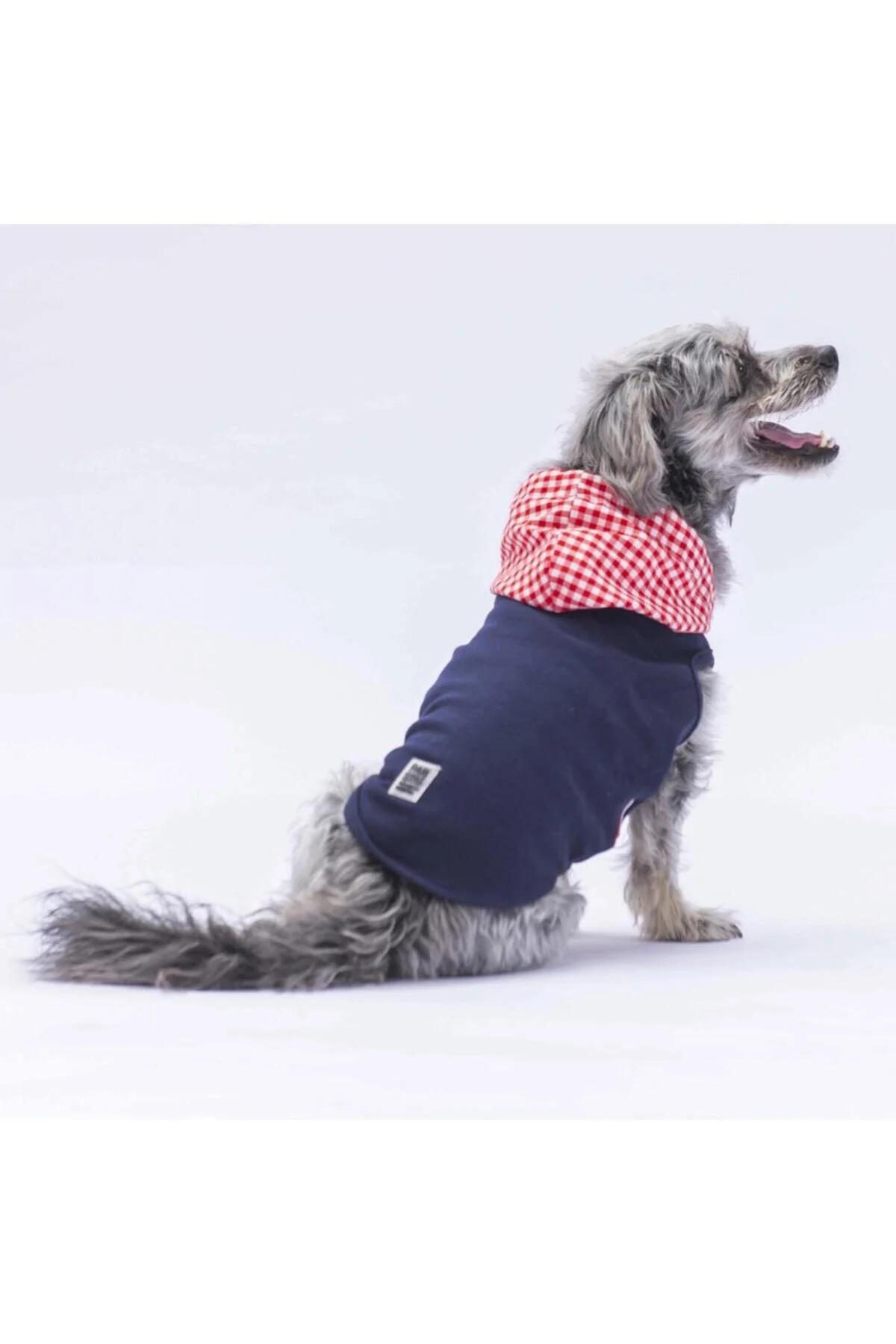 لباس سگ تی شرت گربه ای سرپوش دار GINGHAM آبی اورجینال Pawstar