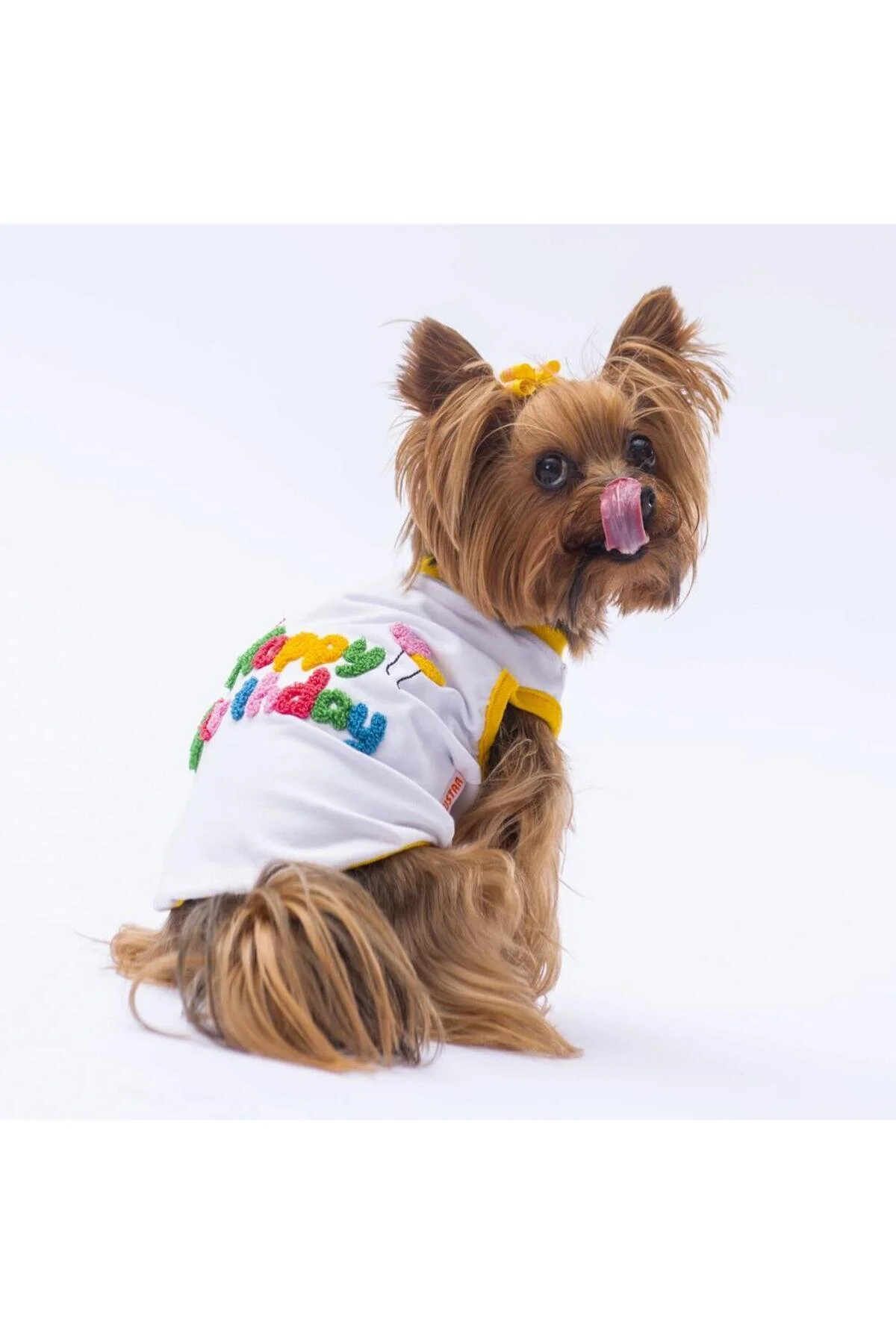 لباس سگ تی شرت گربه تولدت مبارک اورجینال Pawstar