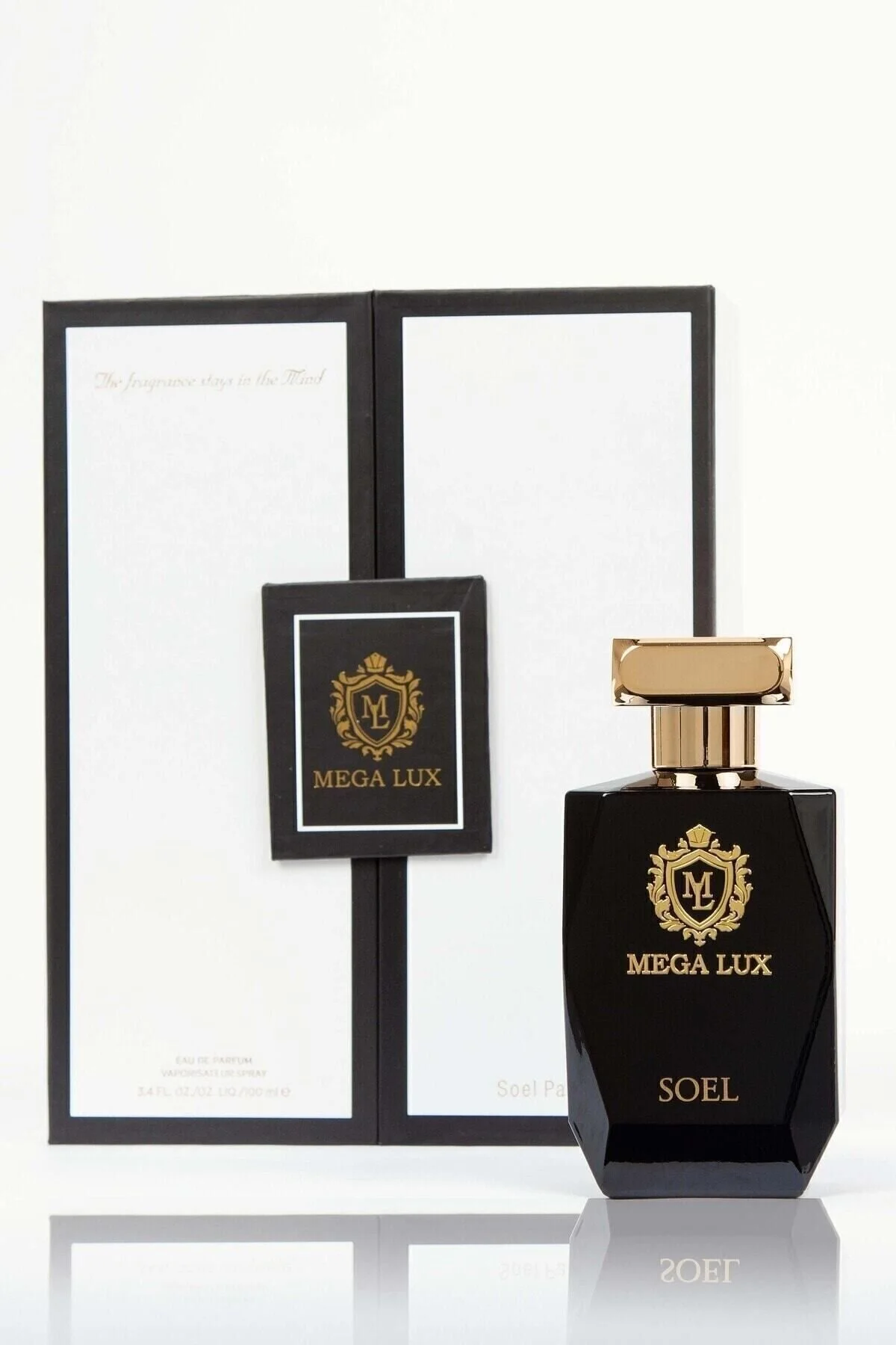 Soel Parfüm عطر مردانه مگا لوکس ادوپرفیوم 100 ml Nich Special For You