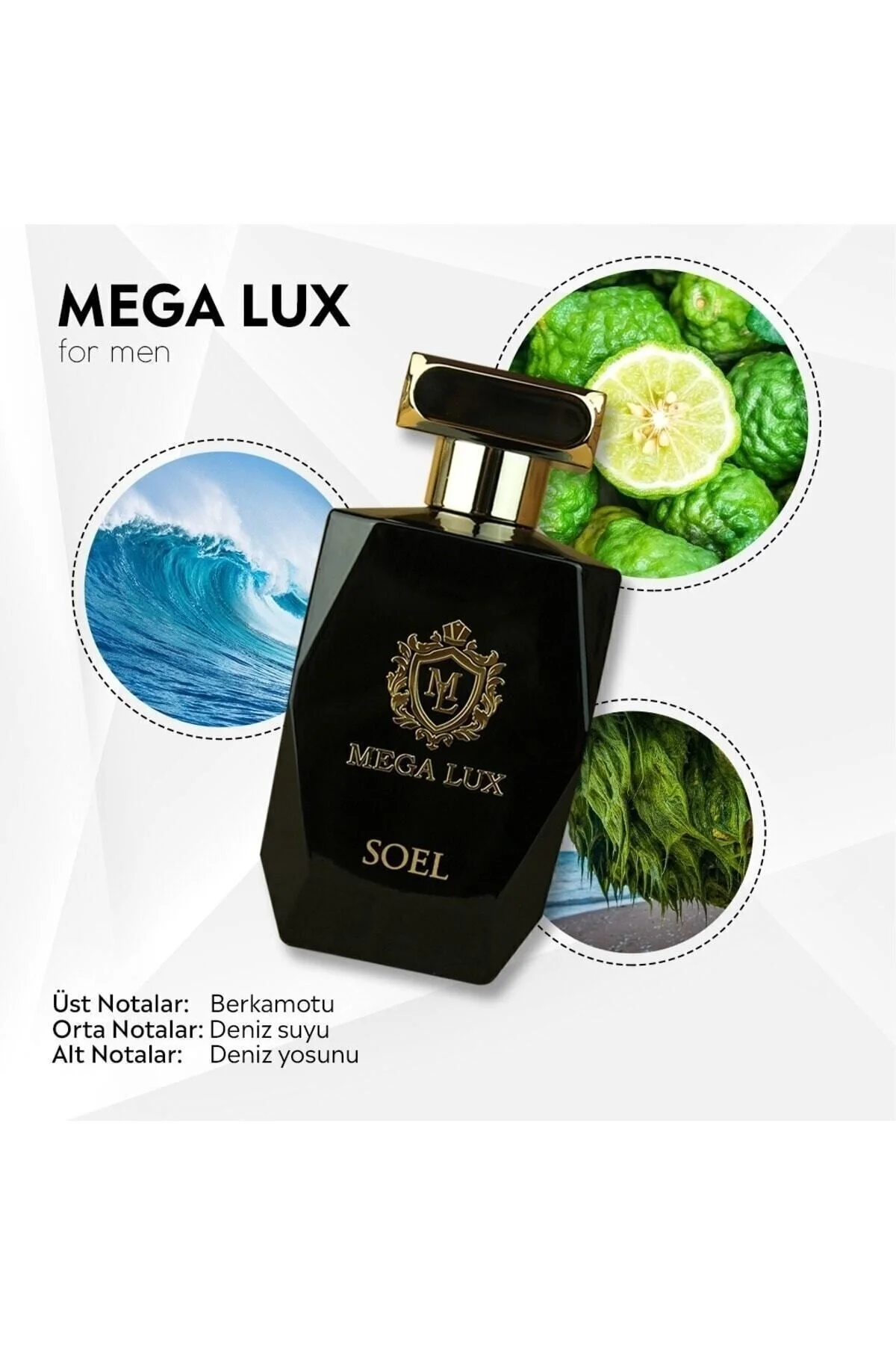 Soel Parfüm عطر مردانه مگا لوکس ادوپرفیوم 100 ml Nich Special For You