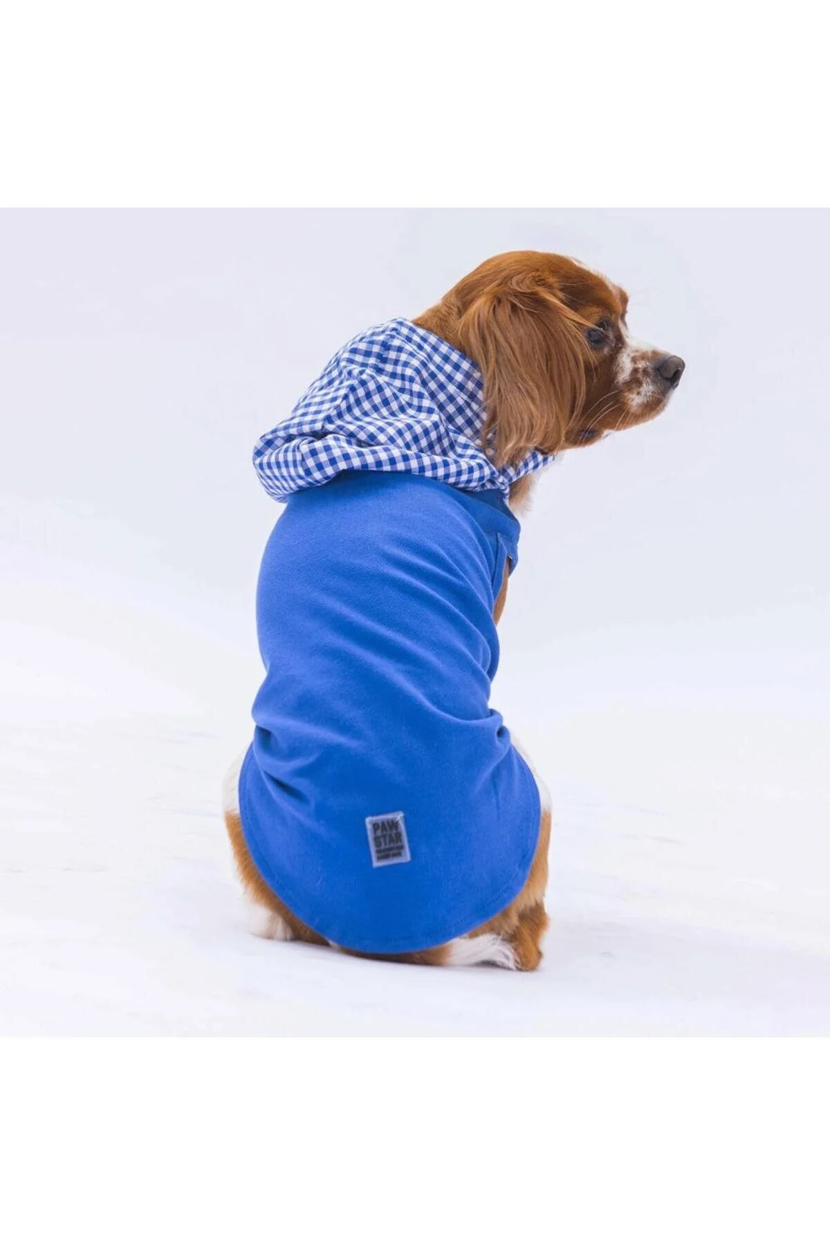 لباس سگ تی شرت گربه ای کلاهدار آبی GINGHAM اورجینال Pawstar