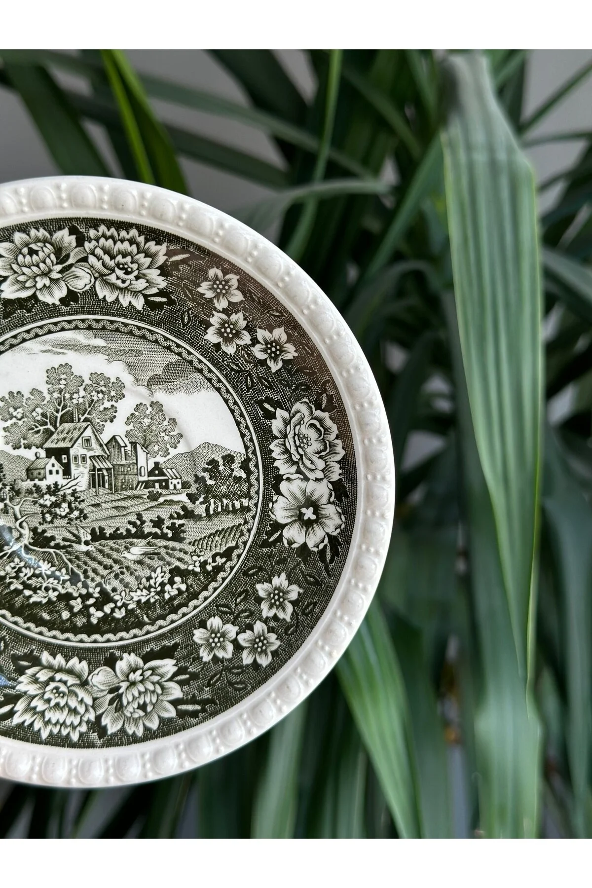 بشقاب سبز Villeoy Boch Antique Porcelain Rusticana Dessert Plate 155 سانتی متر Villeroy &amp; Villeroy &amp; Boch