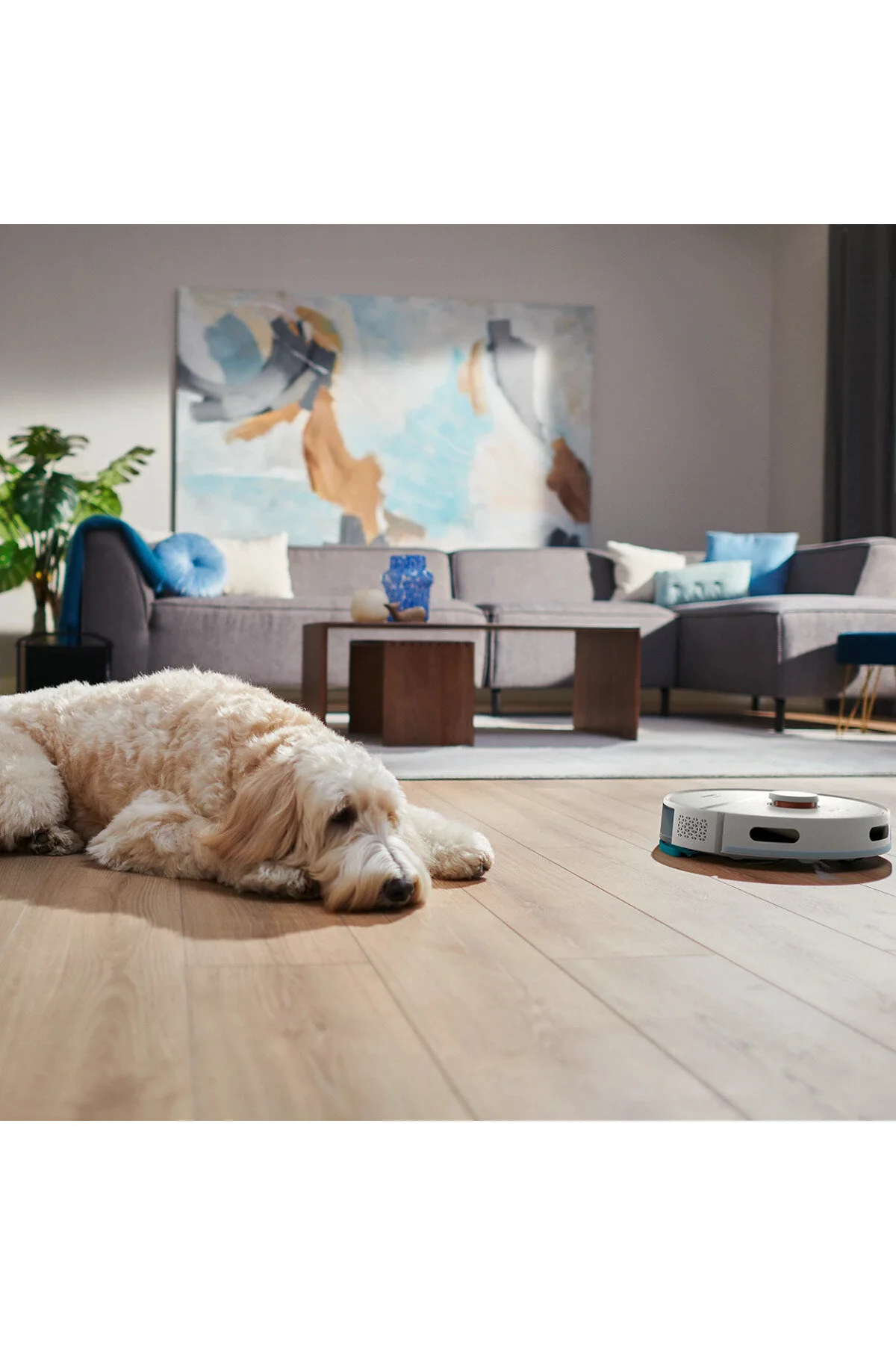 جاروبرقی رباتیک خلاء 2700 PA 130 دقیقه MAPMING WIFI ROBOT CLEANER فیلیپس Philips
