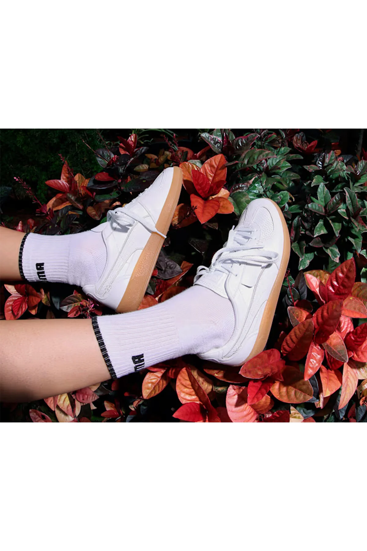 کفش مردانه زنانه یونیسکس ورزشی روزانه Palermo و رنگی پوما Puma