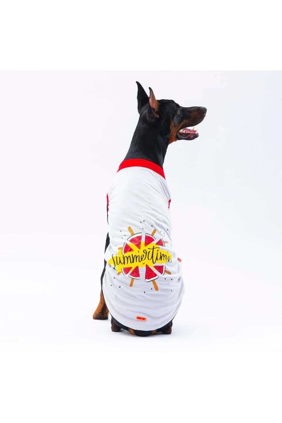 لباس گربه سگ خاکستری S. Pawstar