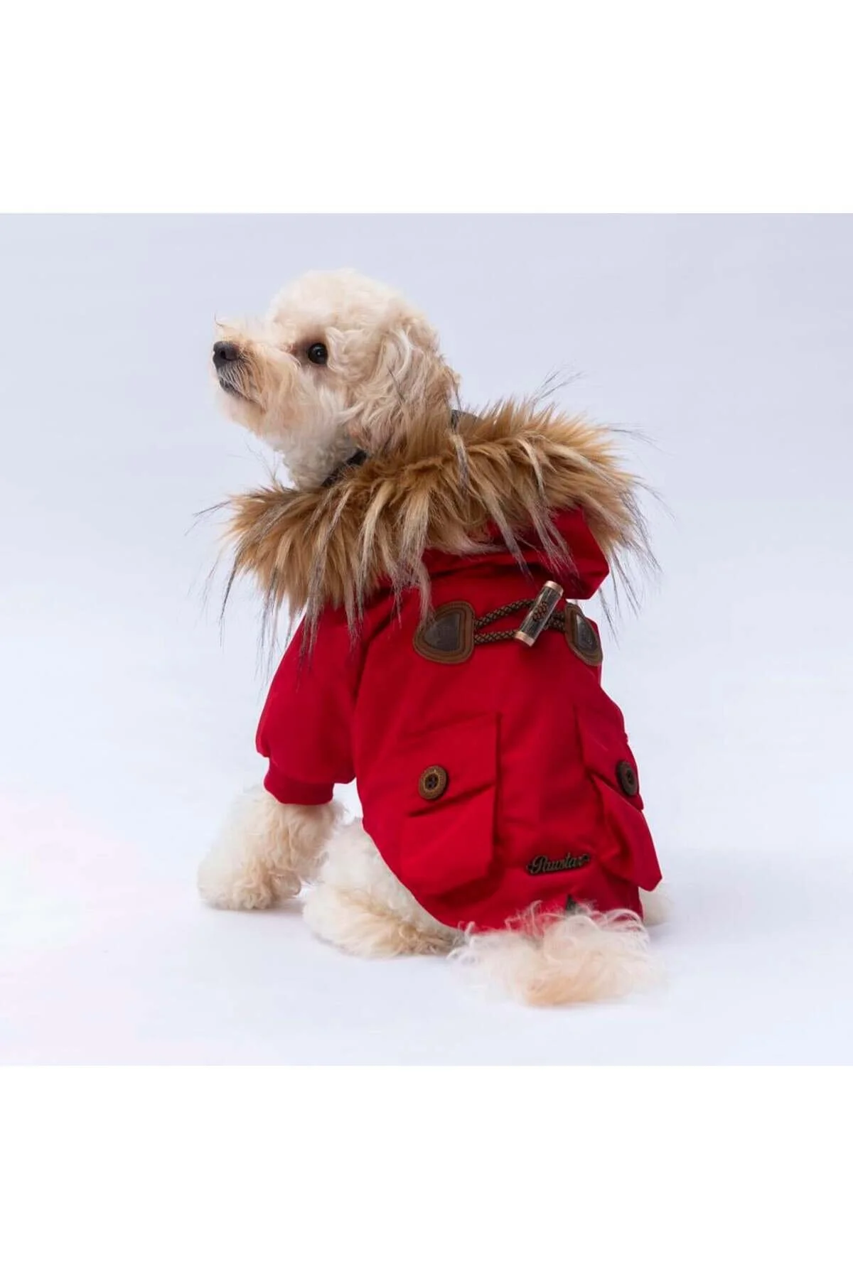 لباس گربه کت قرمز چارلز اورجینال Pawstar