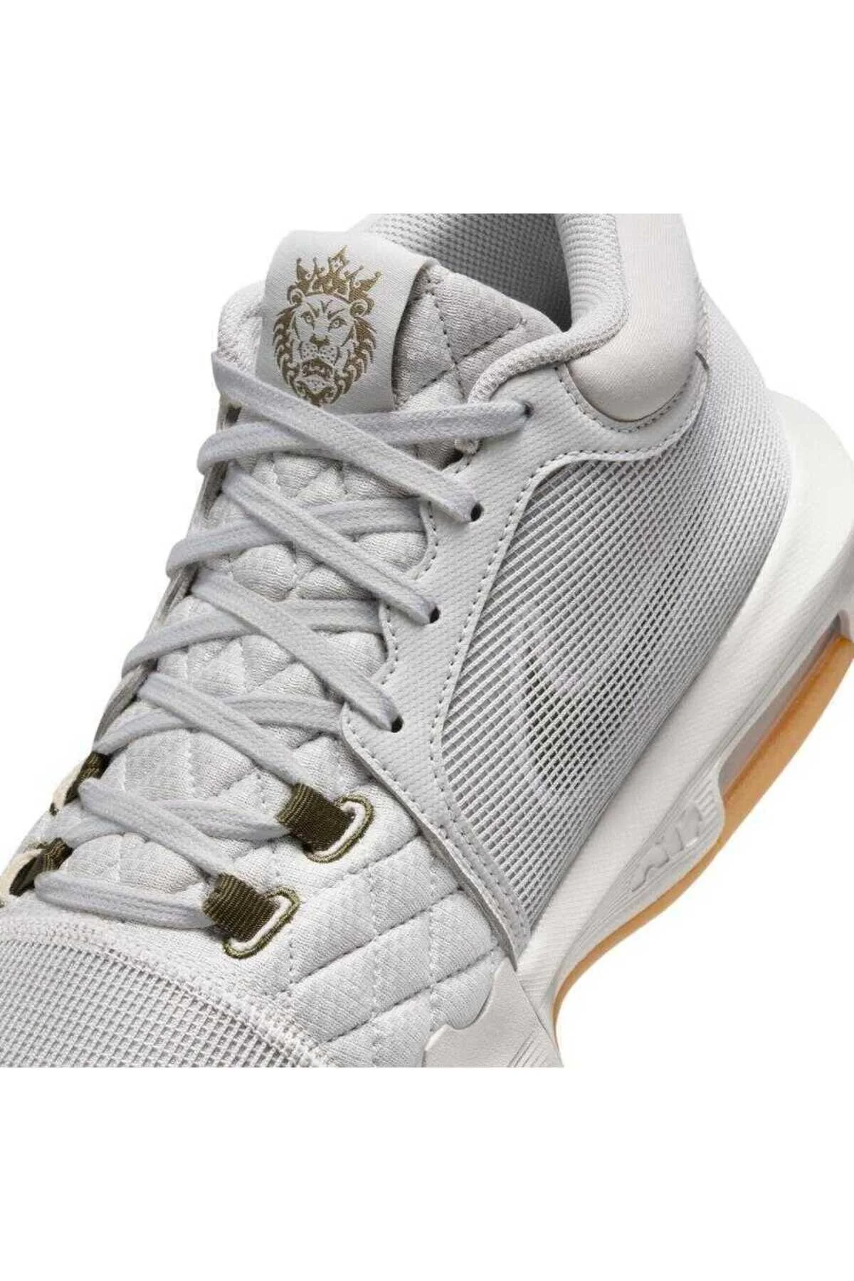 کفش بسکتبال مردانه سیاه پوست شاهد LEBRON VIII FB2239 نایک Nike