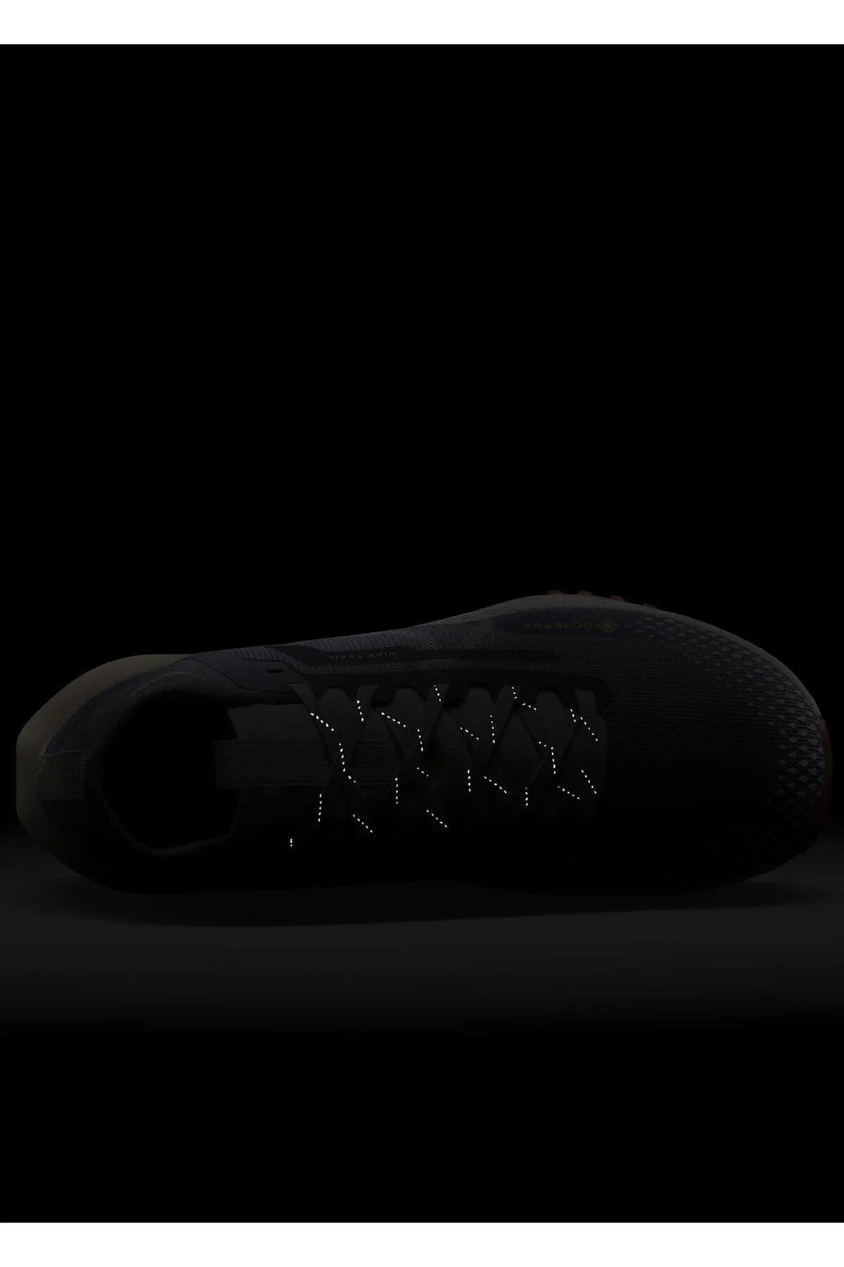 کفش زنانه React Pegasus Trail 4 بازتابنده ضد آب Goretex در حال راه رفتن رانینگ بنفش نایک Nike