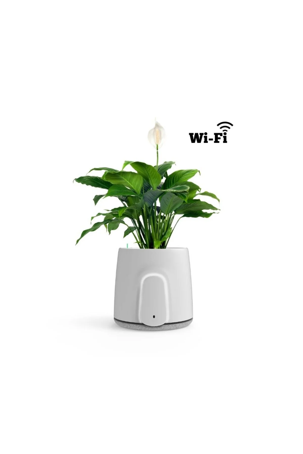 تصفیه کننده هوا نوع قابلمه NATEDE با اتصال WIFI Vitesy