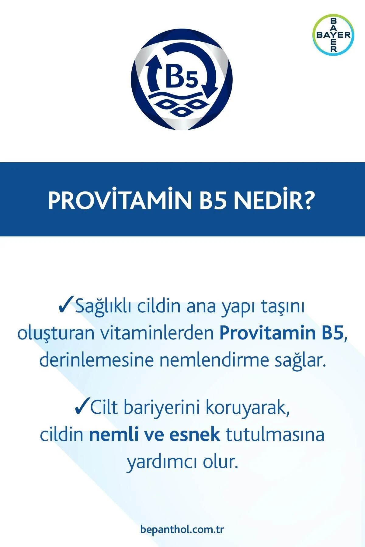 Bepanthol آرایش لب محافظتی با SPF 30 و مرطوب کننده