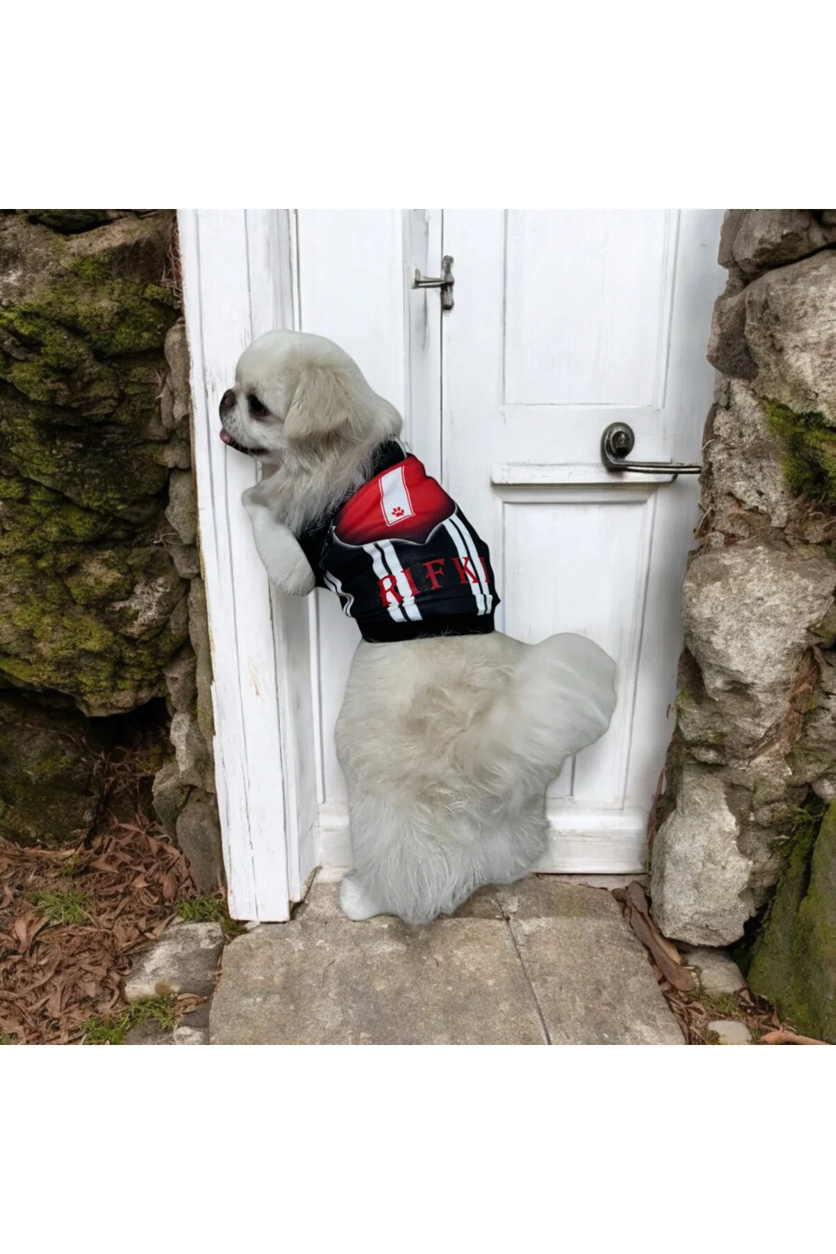 لباس سگ NAME WRITTENED CAT AND DOG FAN JERSEY اورجینال PuluPulu