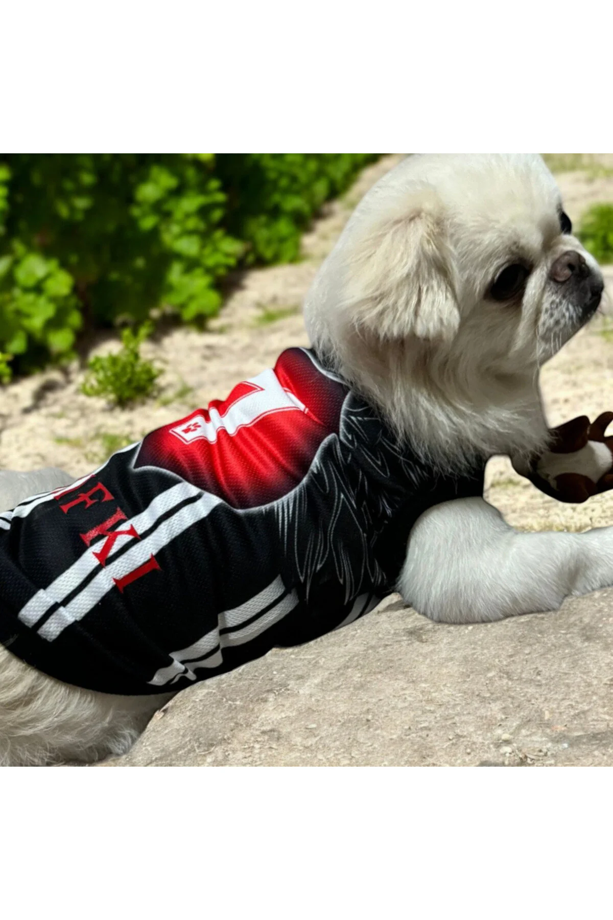 لباس سگ NAME WRITTENED CAT AND DOG FAN JERSEY اورجینال PuluPulu