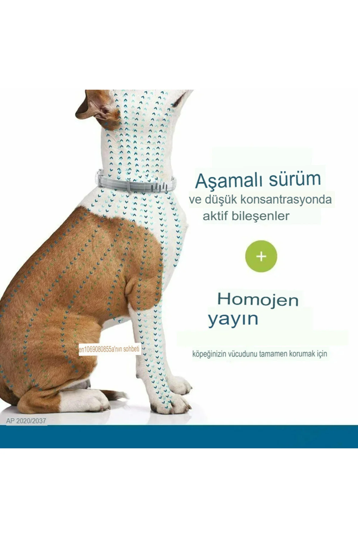 قلاده سگ یقه کک با محتوای طبیعی شپش انگل 63 سانتی متری بزرگسال اورجینال hayhall