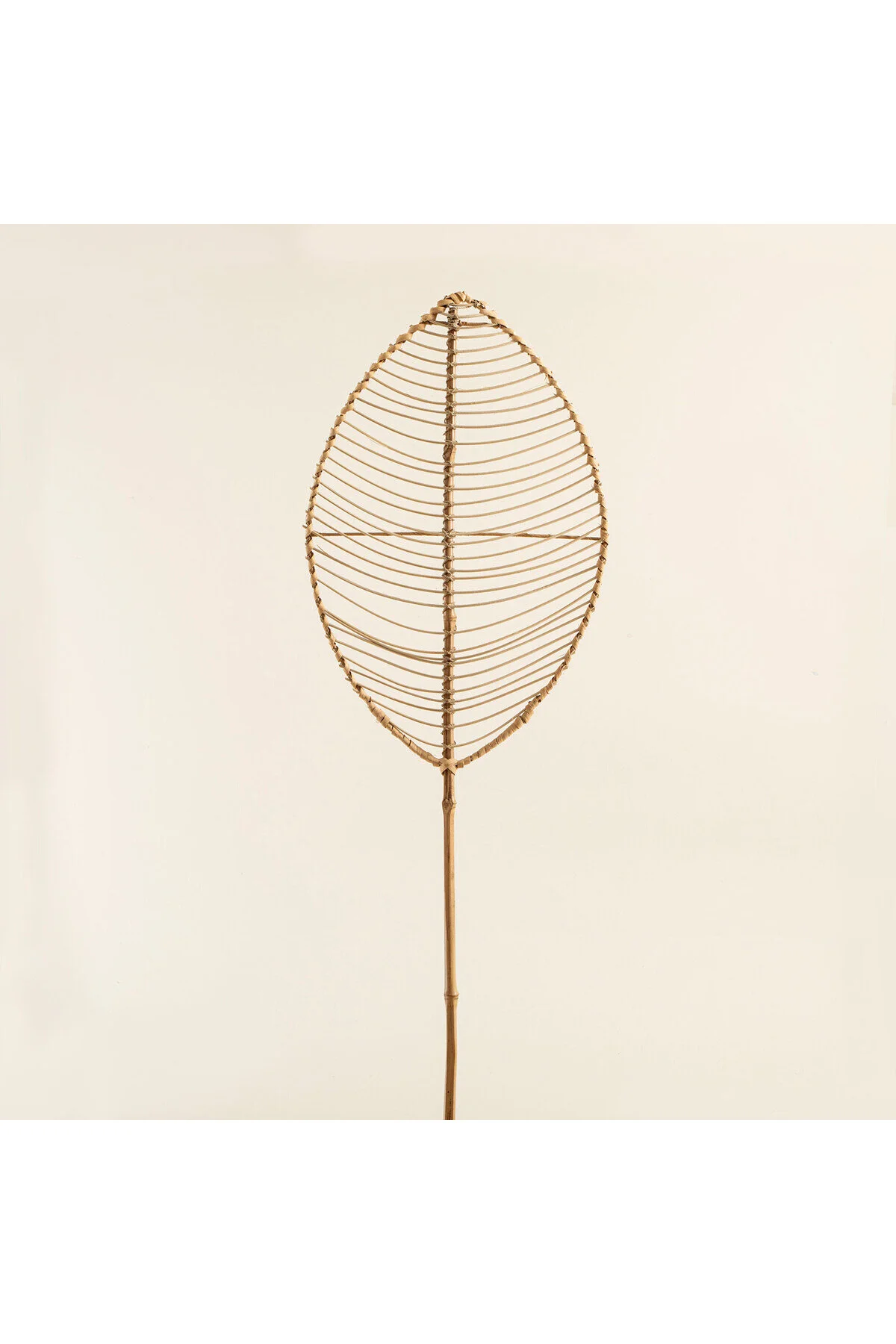 اشیاء دکوراتیو و مجسمه دکوراسیون FOLIA RATTAN 202 سانتی متر طبیعی Chakra