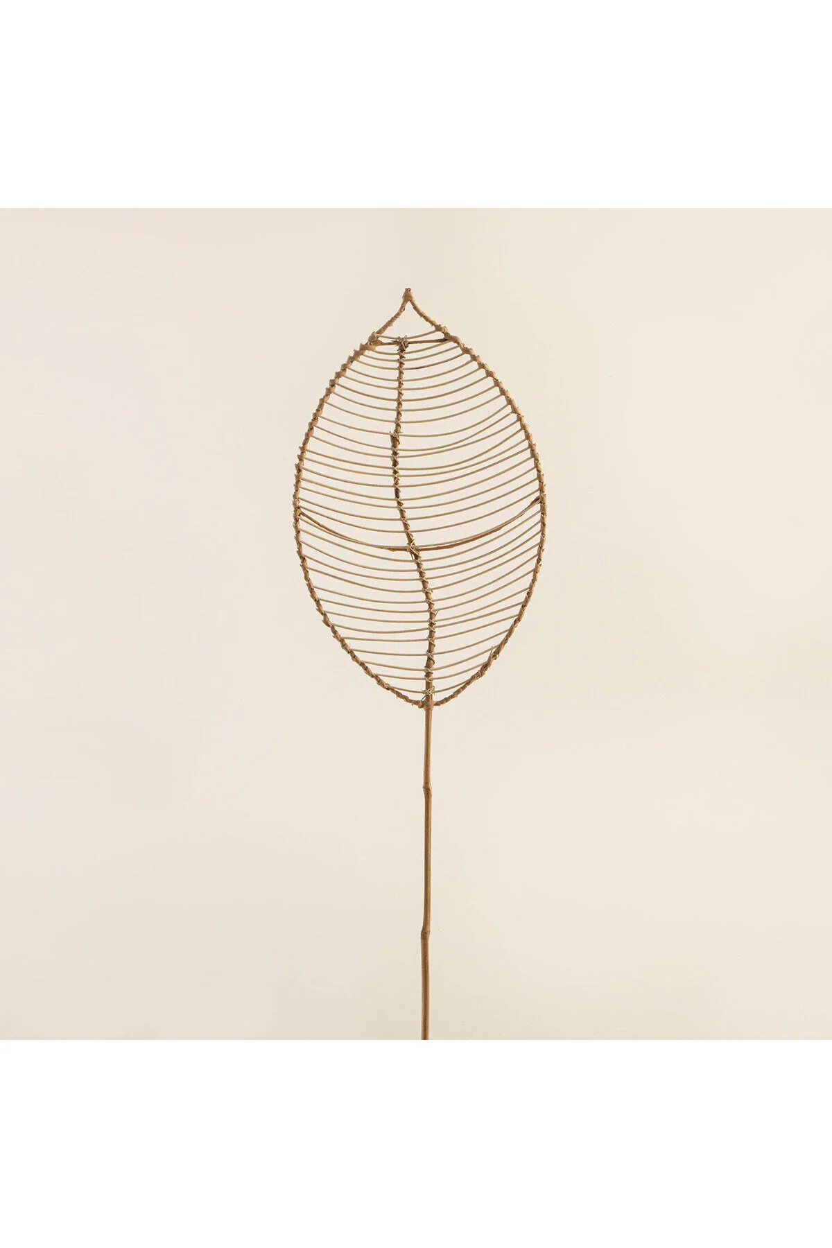 اشیاء دکوراتیو و مجسمه دکوراسیون FOLIA RATTAN 150 سانتی متر طبیعی Chakra
