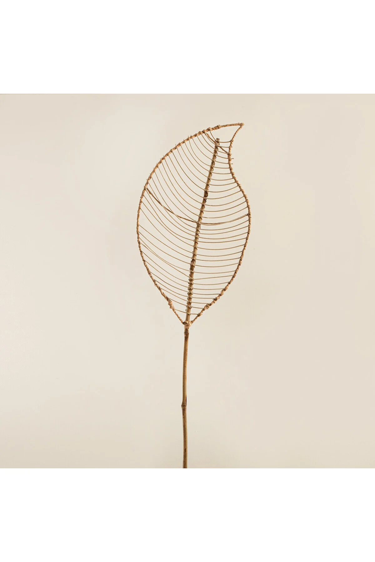 اشیاء دکوراتیو و مجسمه دکوراسیون FOLIA RATTAN 206 سانتی متر طبیعی Chakra