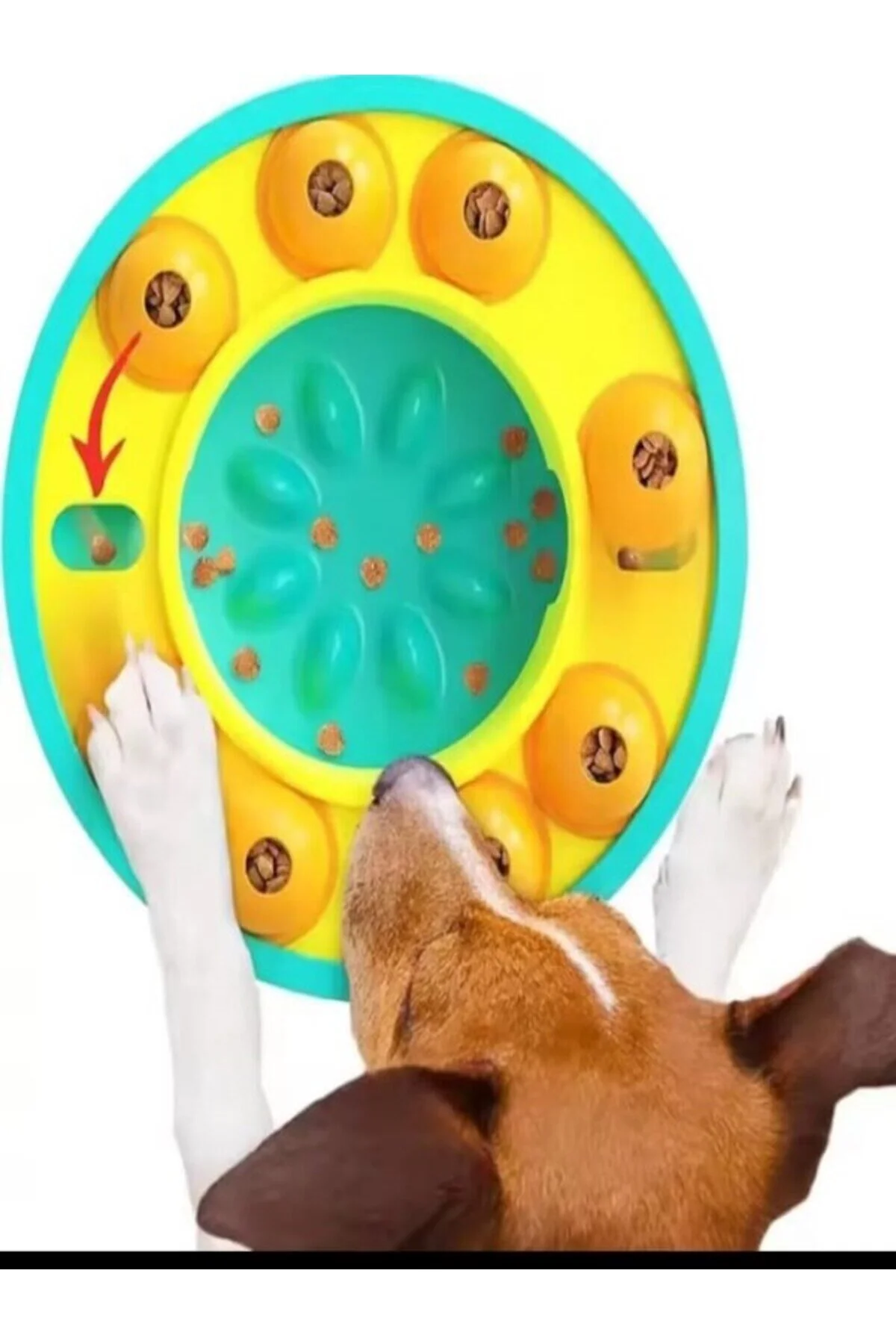 اسباب بازی گربه CAT DOG TOY FOOD PUZZLE SLOW FEEDER DISPENSER EATING kirvanoğlu