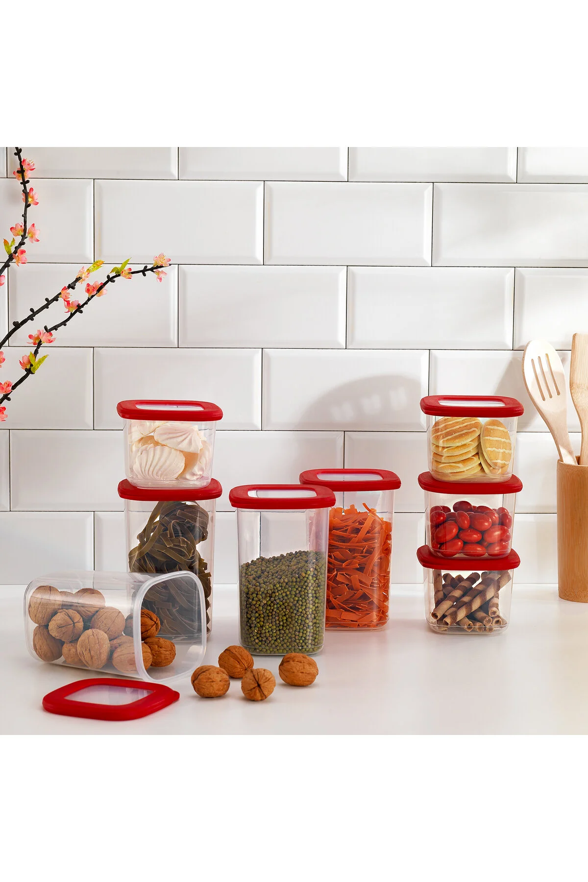 ظرف نگهدارنده نگه داشتن ذخیره سازی 8 LI RED Schafer