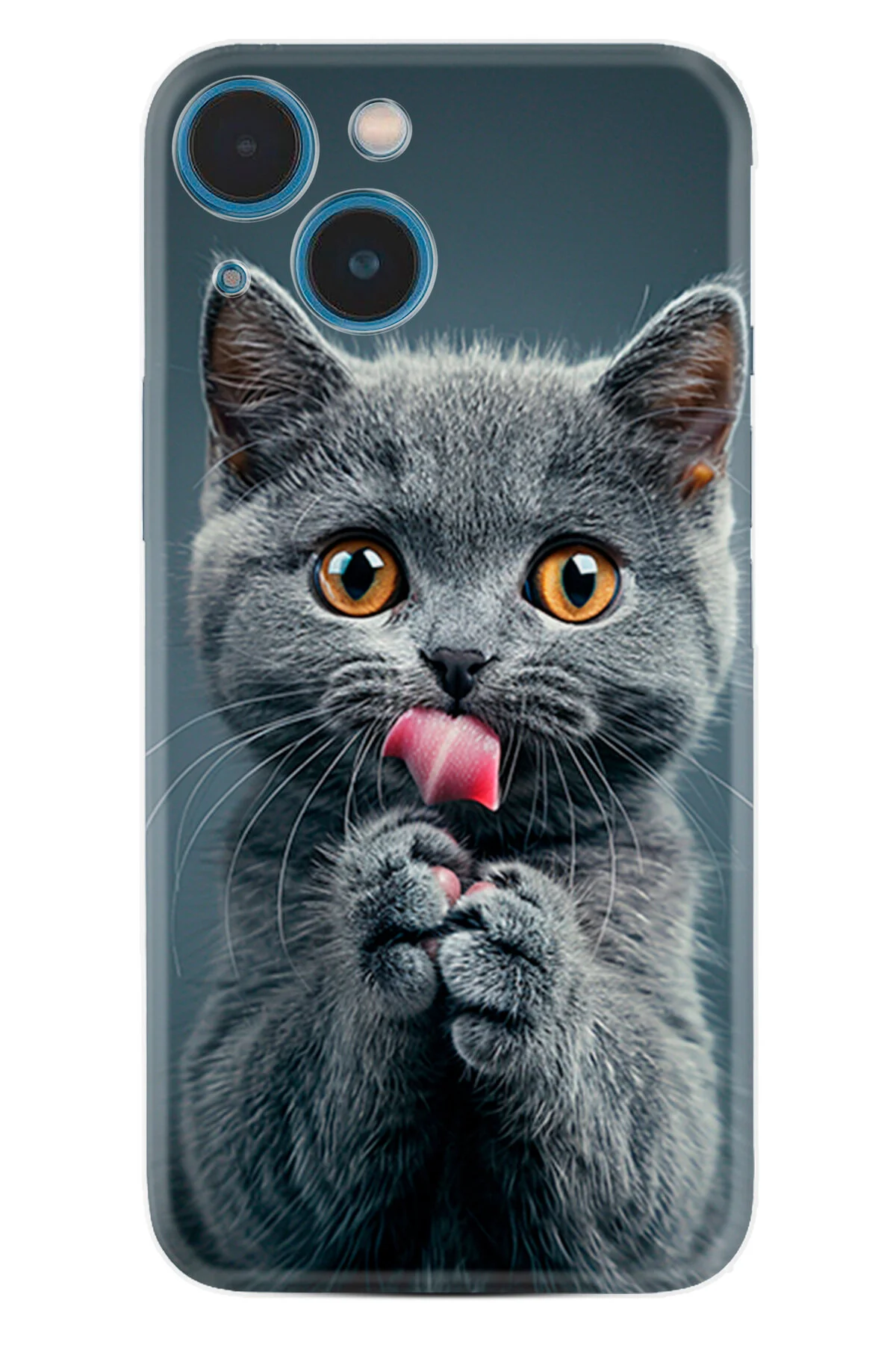 کاور و قاب APPLE IPHONE 13 CASE 14 BOUTIQUE PRINTED ILLUSTRATED FUNNY CAT PCODE 008 Kılıfland