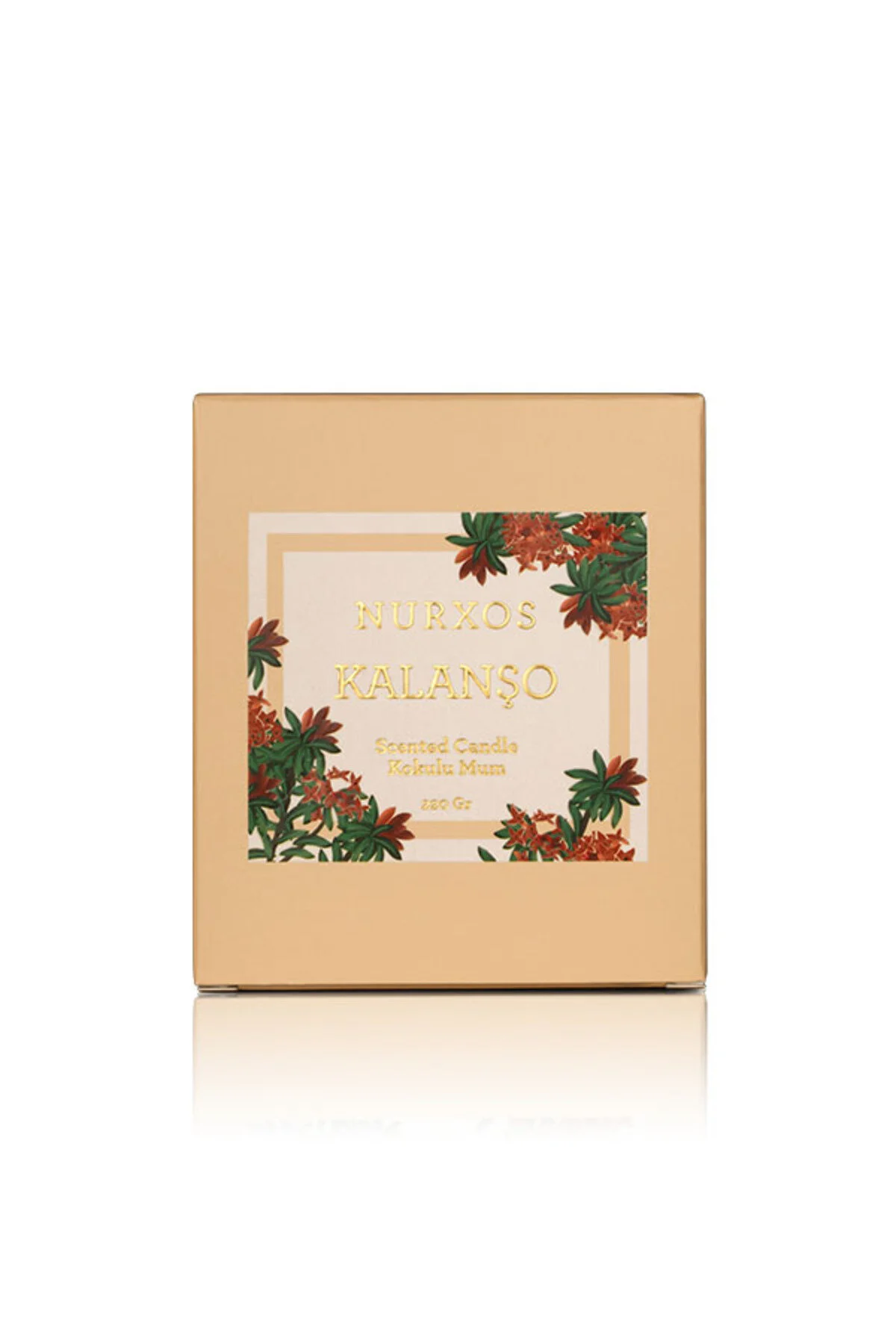 شمع و چراغ 9658 معطر 220 GR WOODY SPICY نورکسوس nurxos